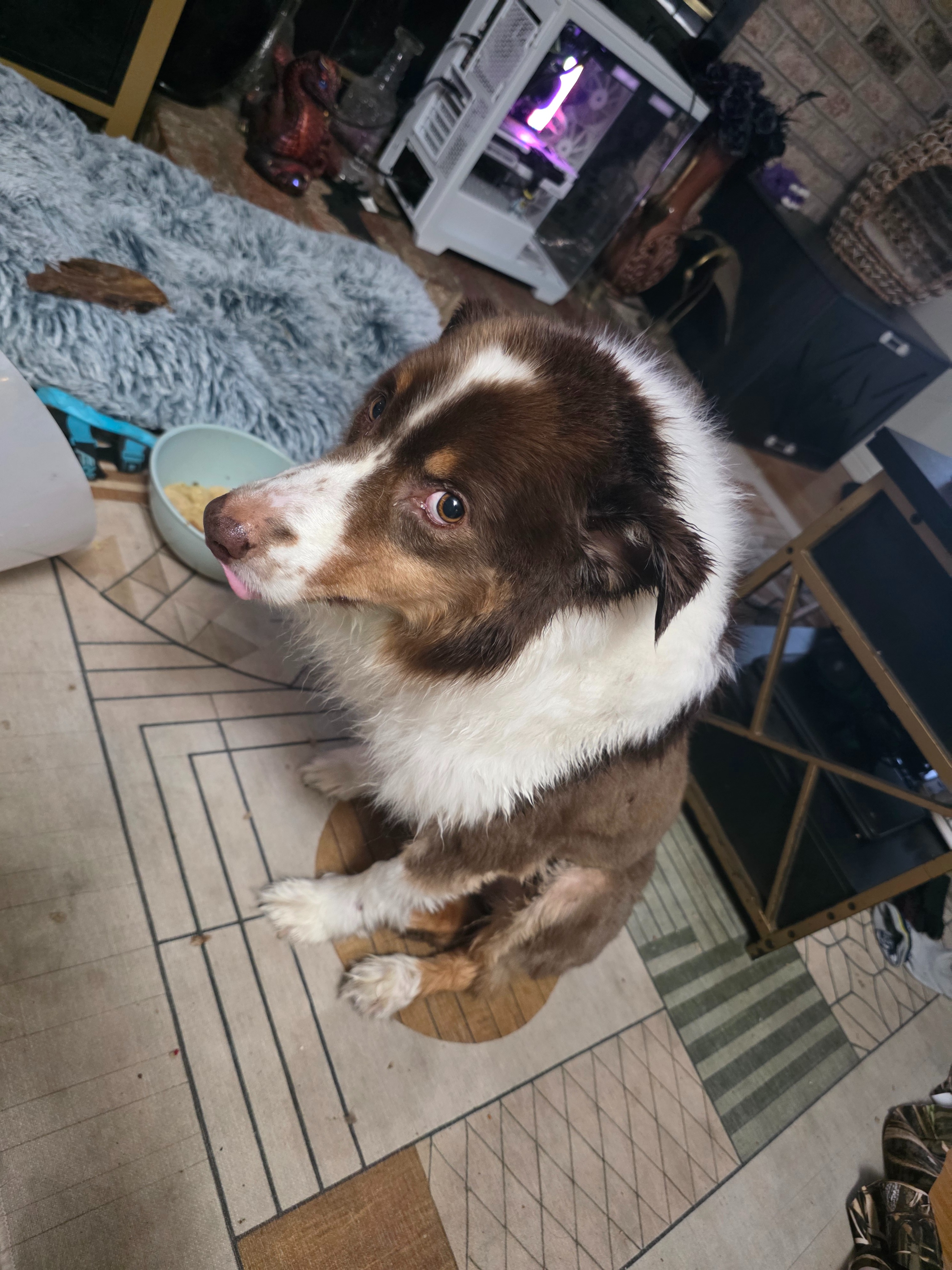 Help Chi Overcome Rare Staph Infection campaign photo, 4 of 6