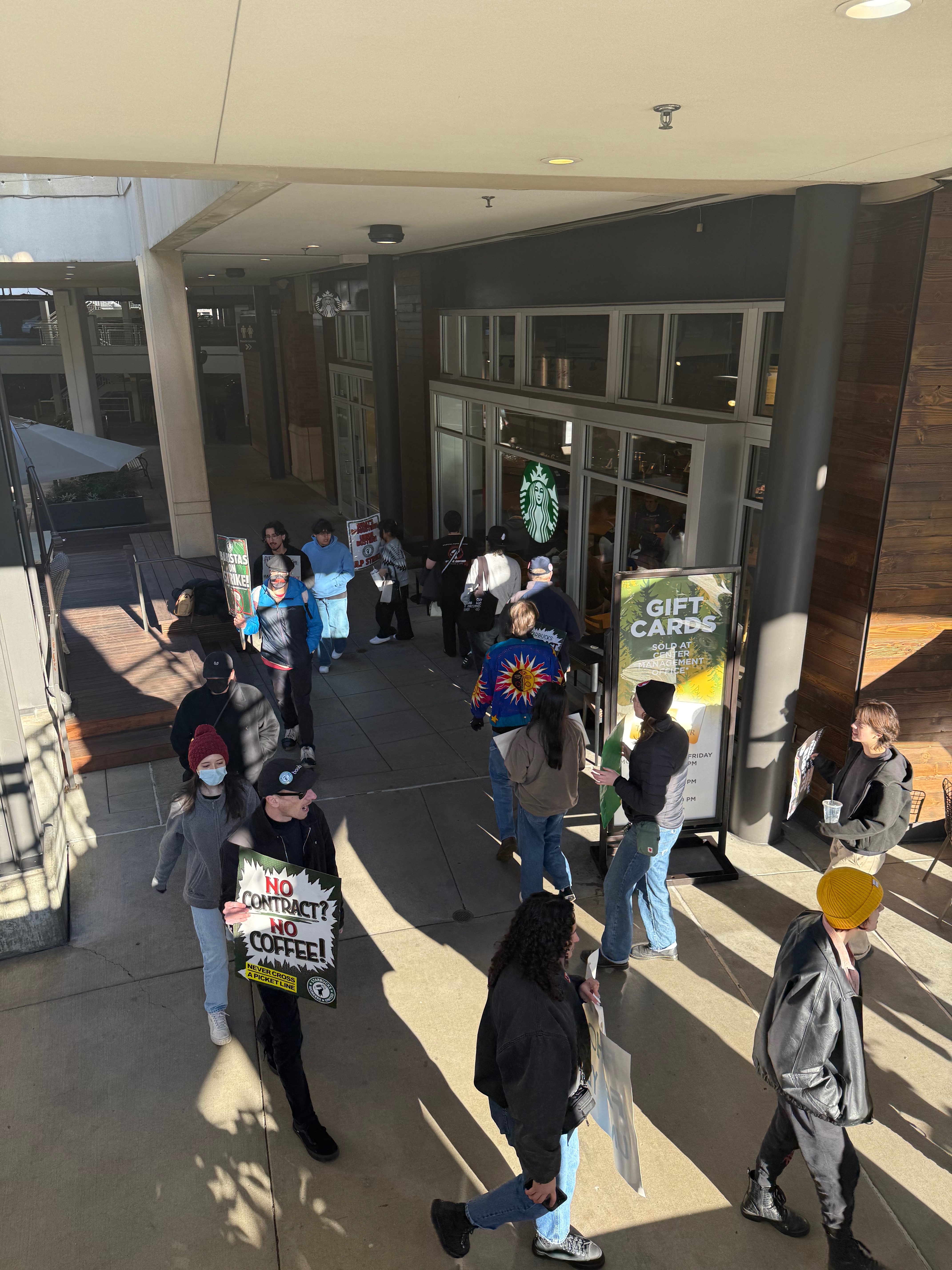 Support laid off baristas buy groceries. campaign photo, 2 of 5