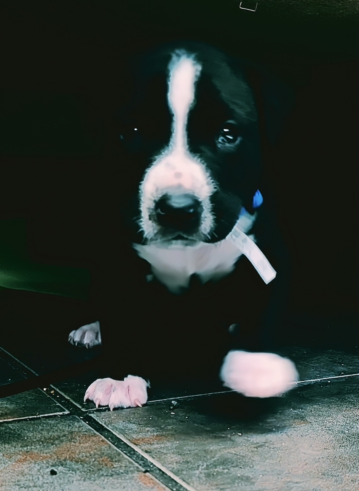 Support Littleman's Healing Journey campaign photo, 4 of 8