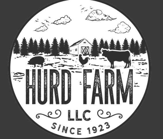 User-uploaded image 1