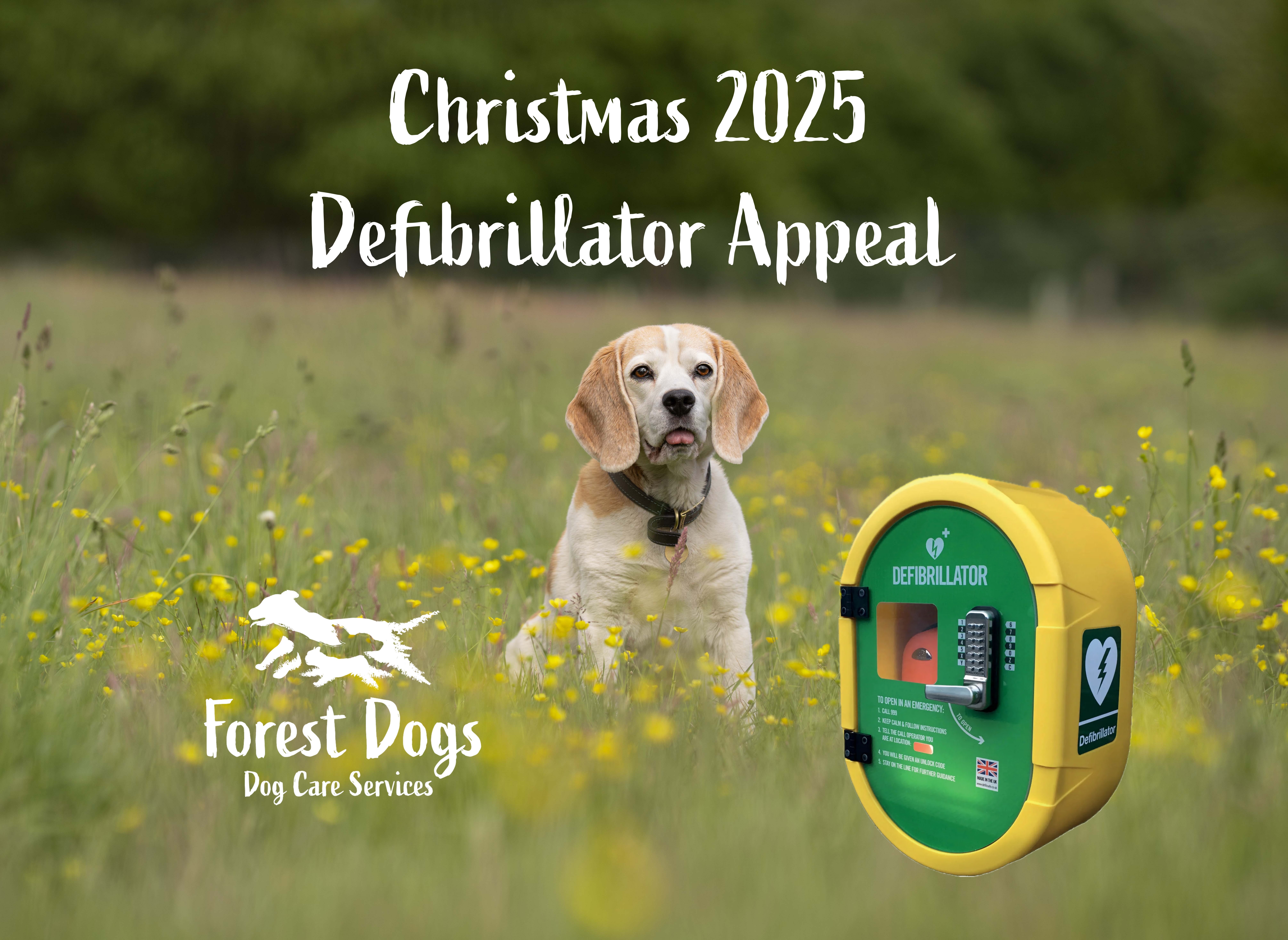 Forest Dogs Christmas Defibrillator Appeal campaign photo, 4 of 6