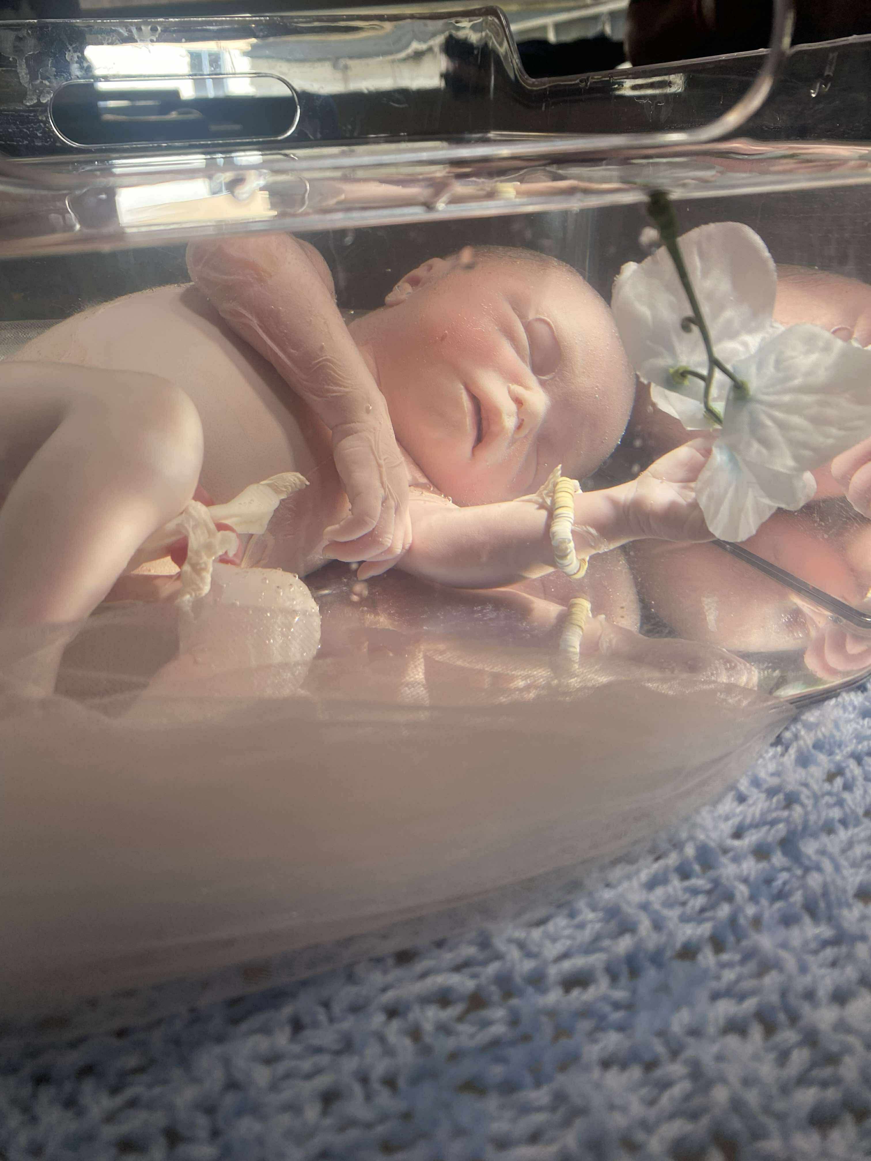Help me get a tombstone for baby silas campaign photo, 4 of 6