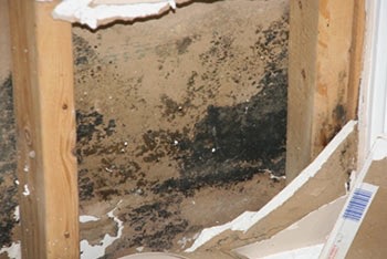 Help Mike Rebuild His Home and His Life After Hurricane Bery campaign photo, 7 of 8