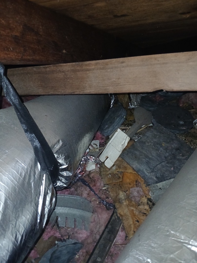 Help Mike Rebuild His Home and His Life After Hurricane Bery campaign photo, 4 of 8