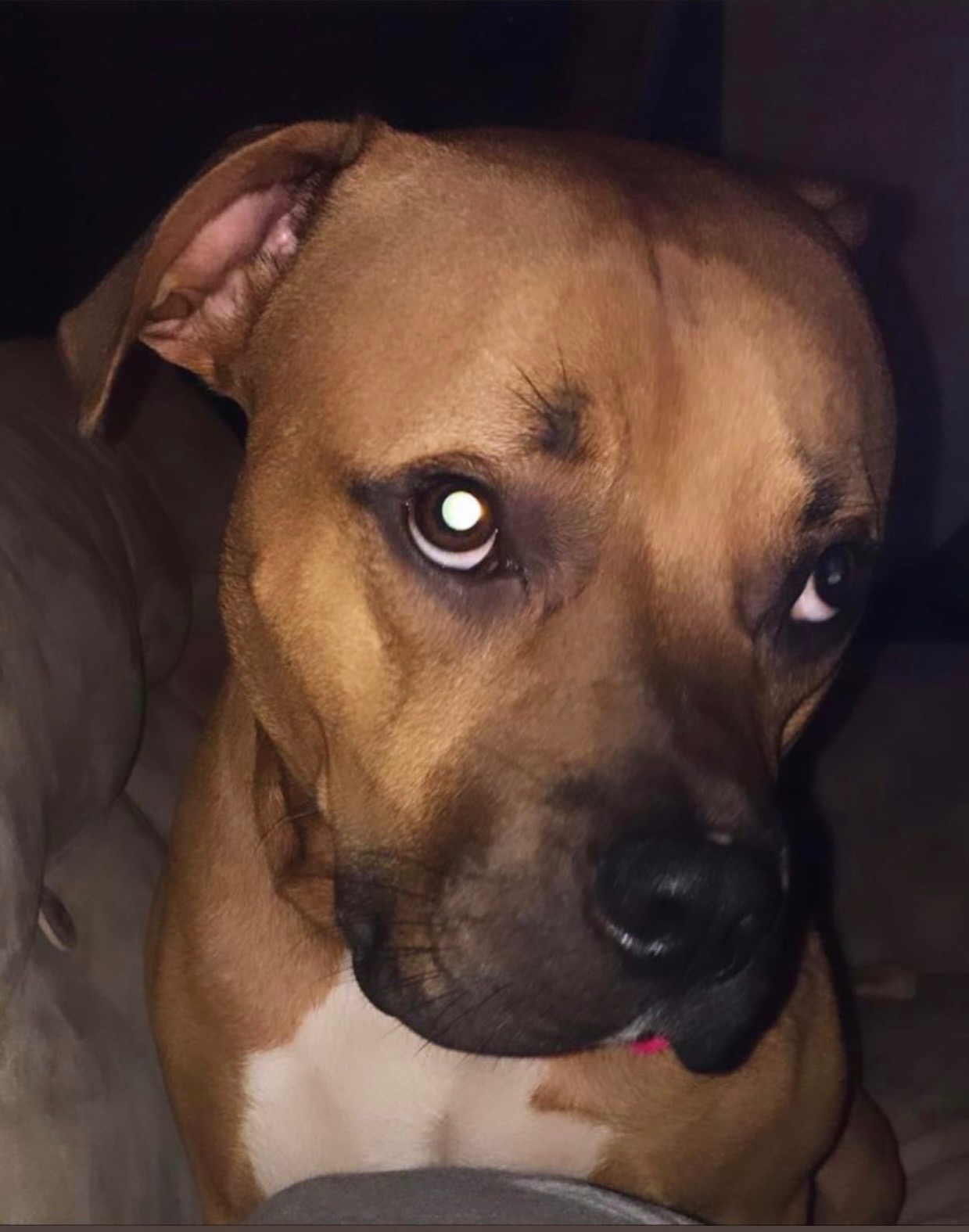 Help Fen Get Urgent Medical Care campaign photo, 5 of 6