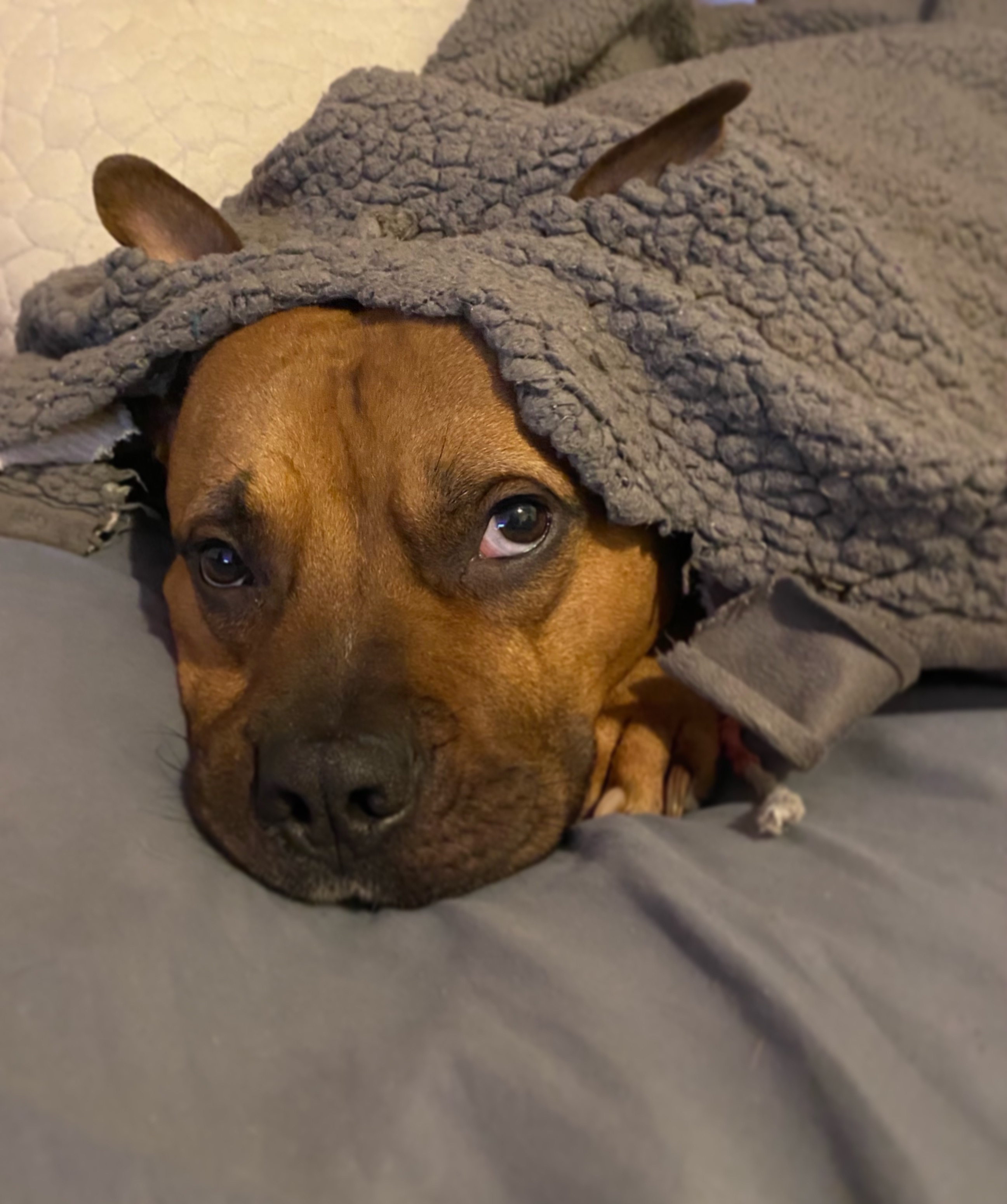 Help Fen Get Urgent Medical Care campaign photo, 2 of 6