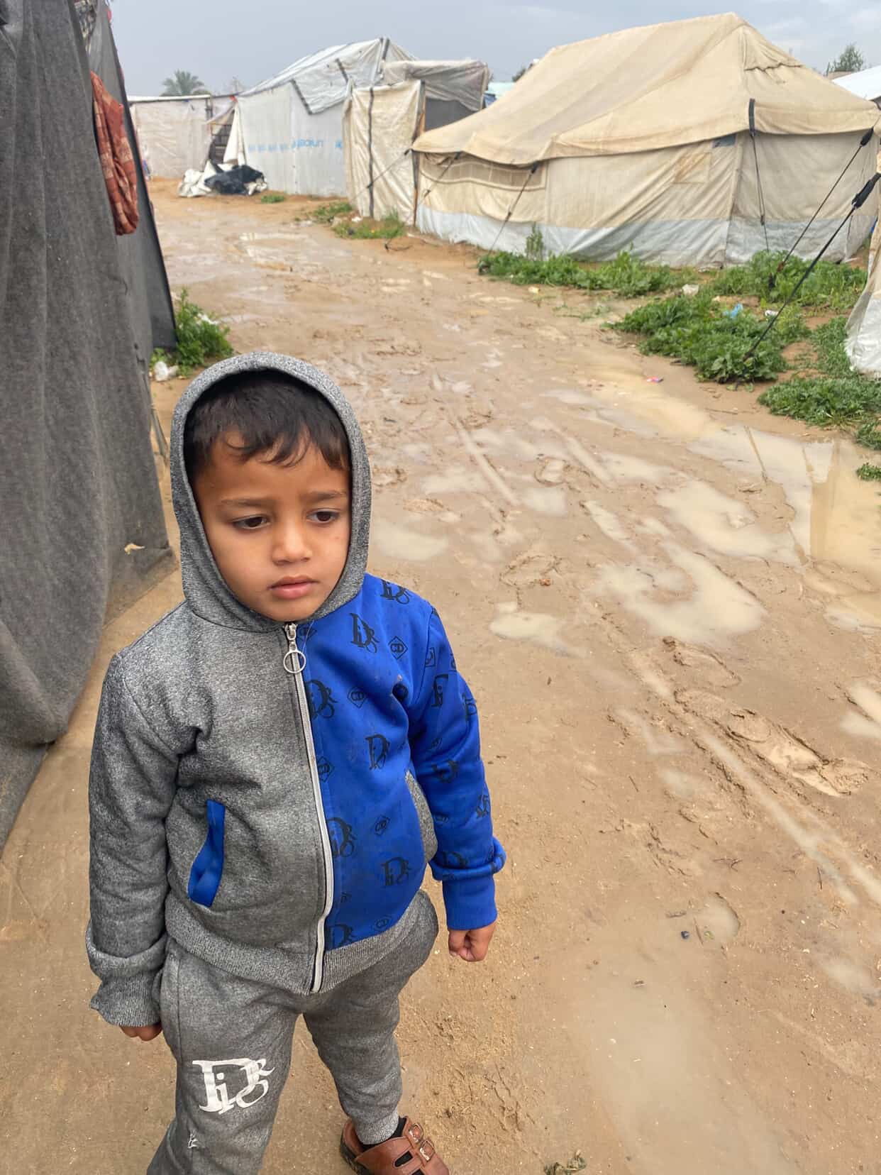 Help Raouf and His Family Survive campaign photo, 7 of 8