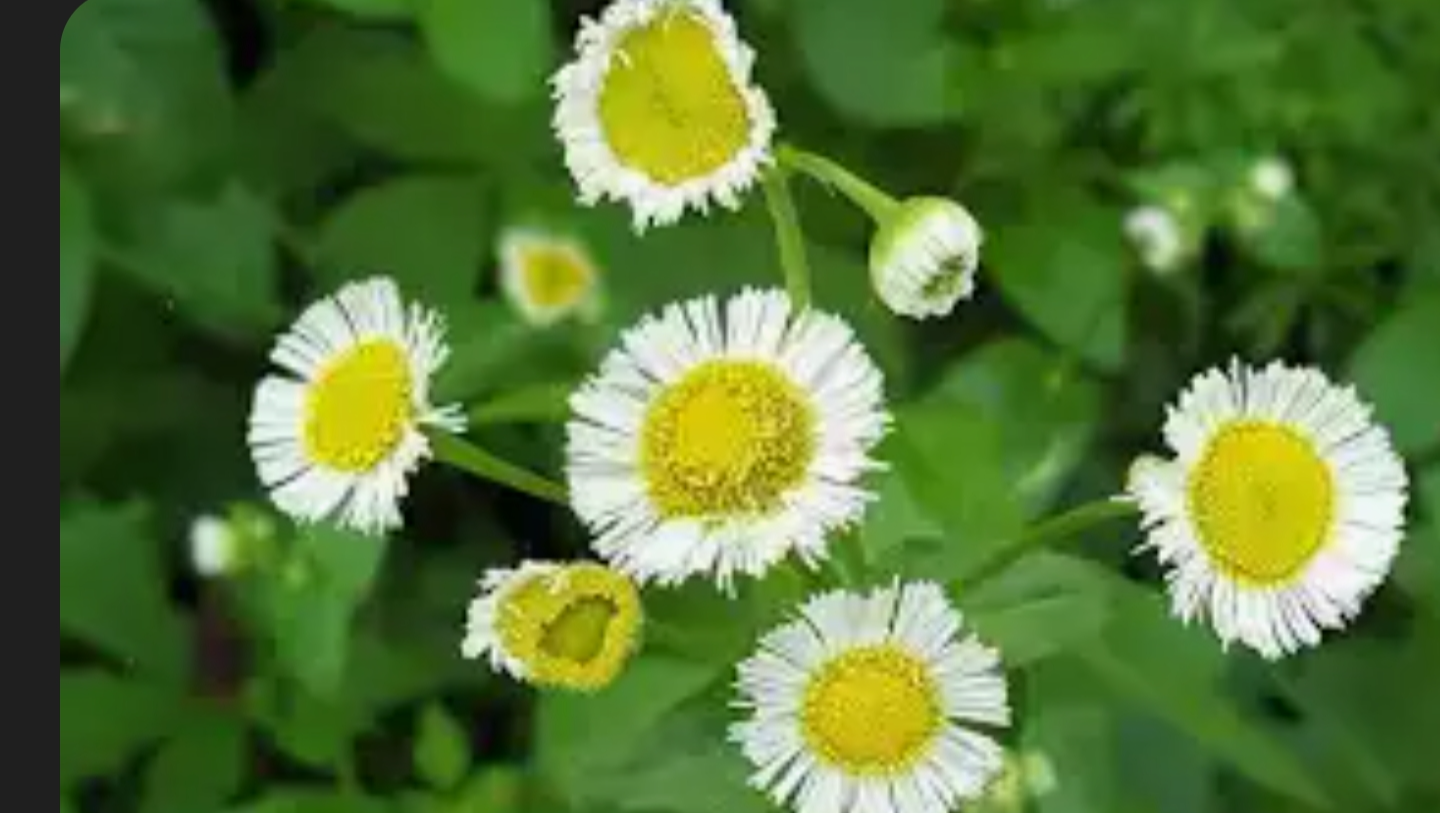 I Need Help To Cover Hospital Bills For Unexpected Surgery photo