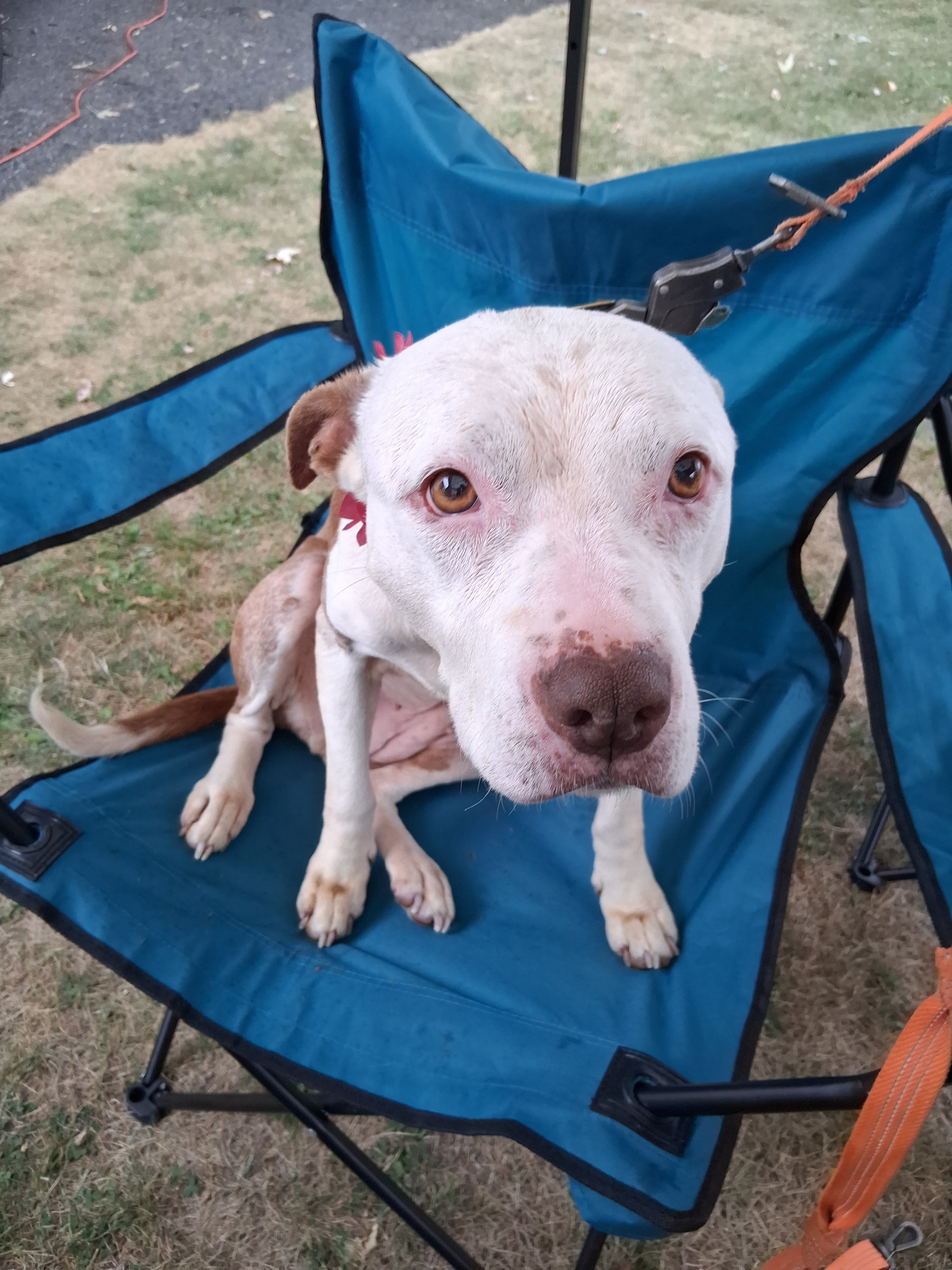 Help Heather and Cher Find a Home for Christmas campaign photo, 2 of 7