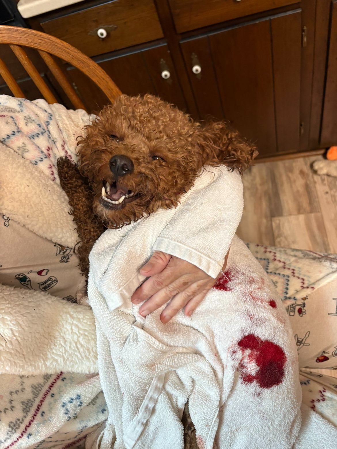 Help Rusty Recover from a Devastating Attack campaign photo, 2 of 5