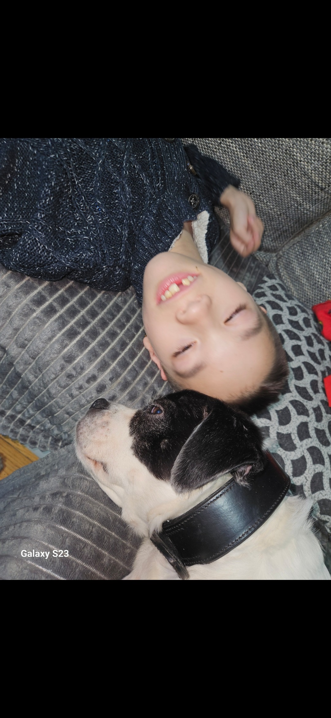 Spendenaufruf für unseren Therapiehund Tila campaign photo, 4 of 8