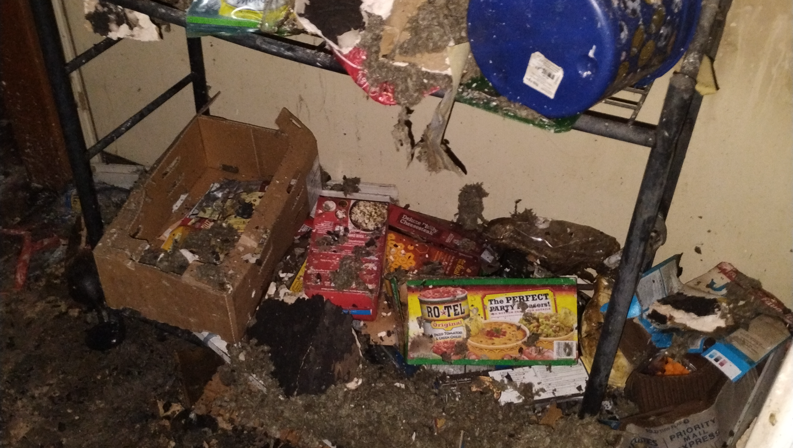 Donate to Shawna Miles' Recovery from Fire photo