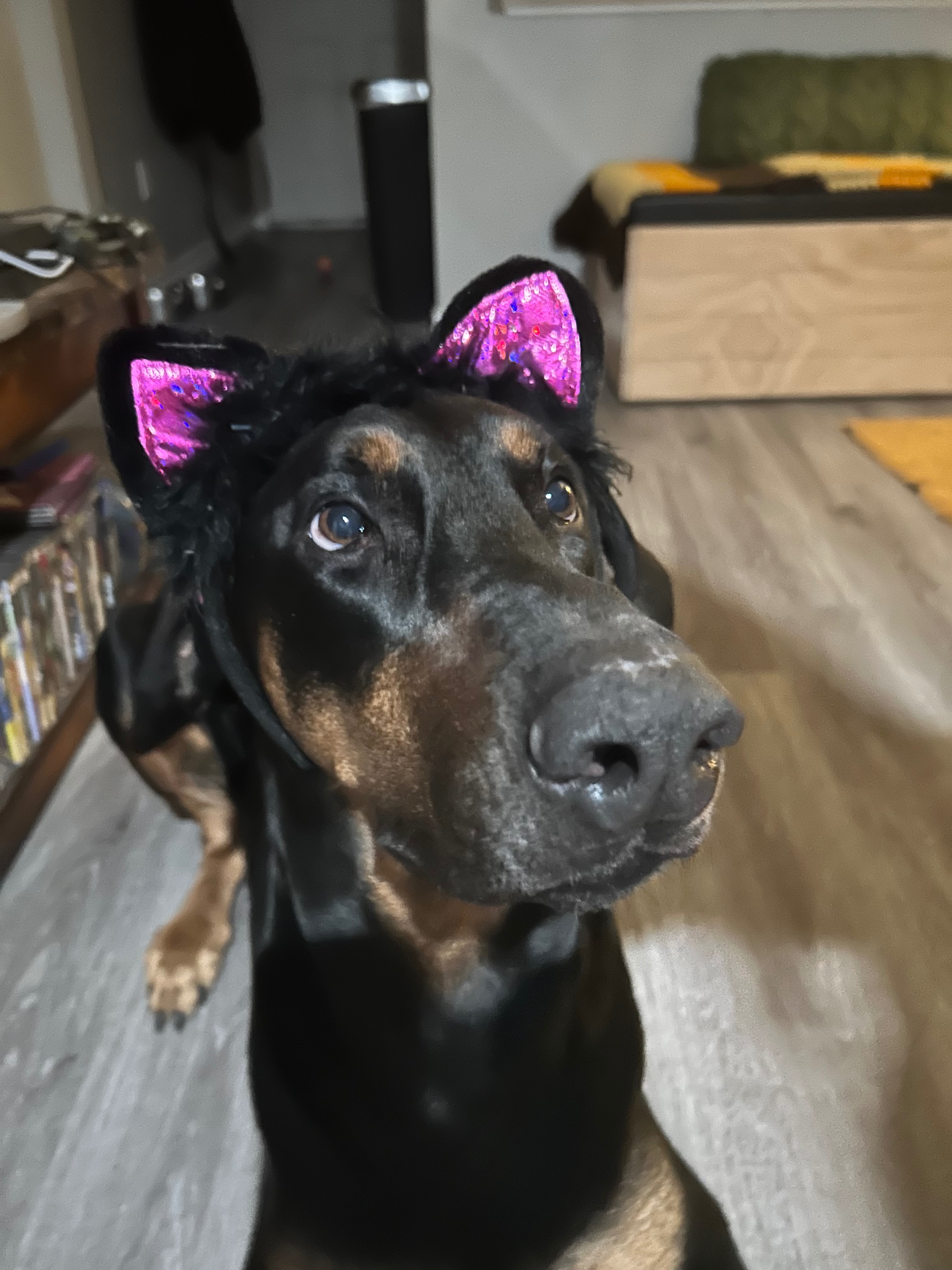 Help our Dutch get an MRI campaign photo, 4 of 6