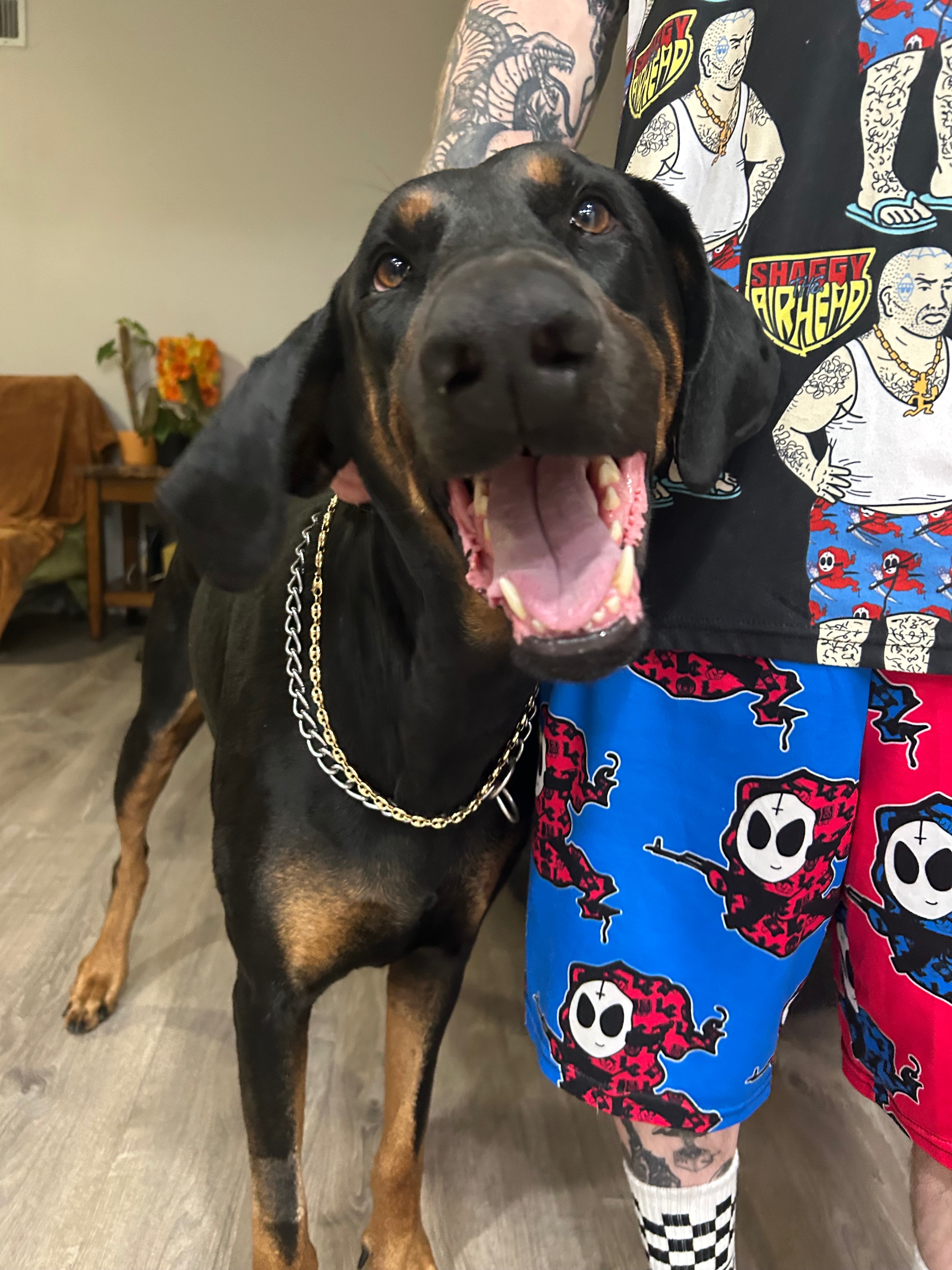 Help our Dutch get an MRI campaign photo, 5 of 6
