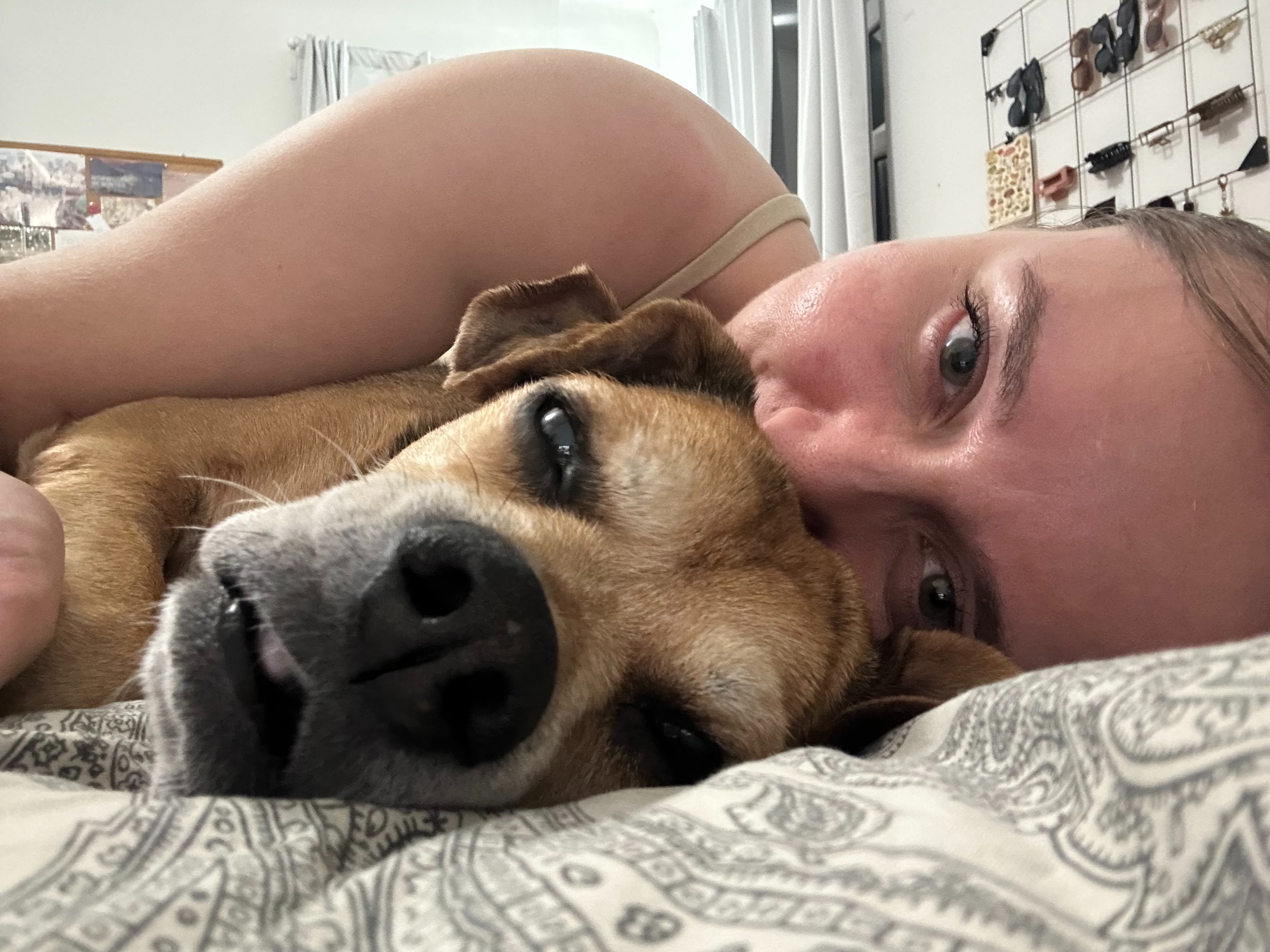 Help Save Elsie, Urgent Care Needed to Treat Severe Anemia campaign photo, 2 of 6