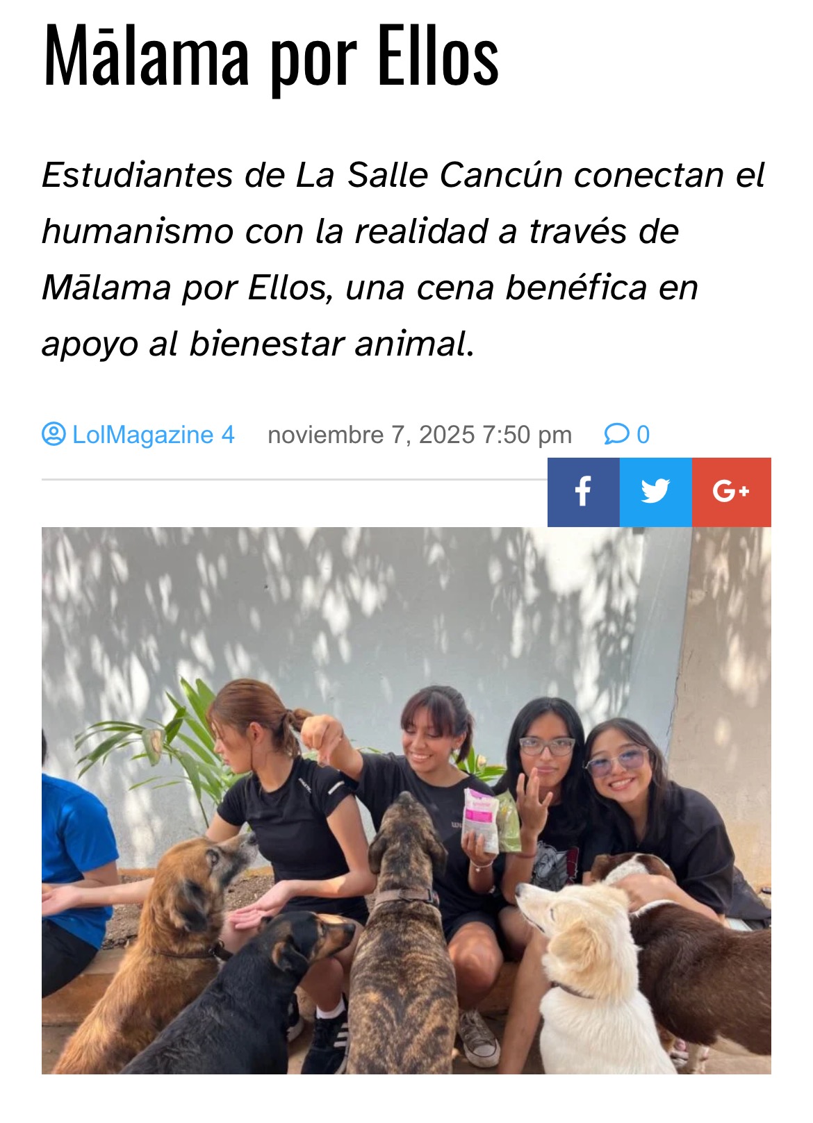 Ayuda a esterilizar a 300 peluditos en Cancún campaign photo, 6 of 7