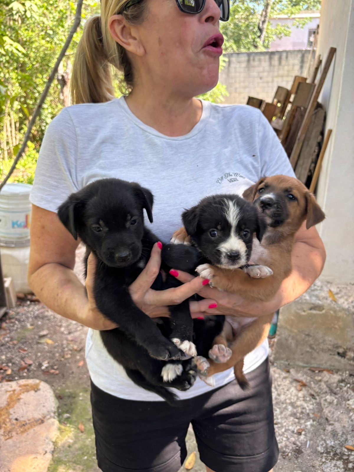 Ayuda a esterilizar a 300 peluditos en Cancún campaign photo, 5 of 7