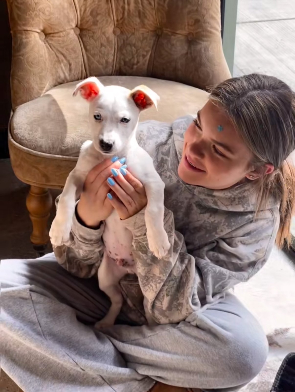 Help Issy Bring Joy to Shelters This Holiday campaign photo, 2 of 8
