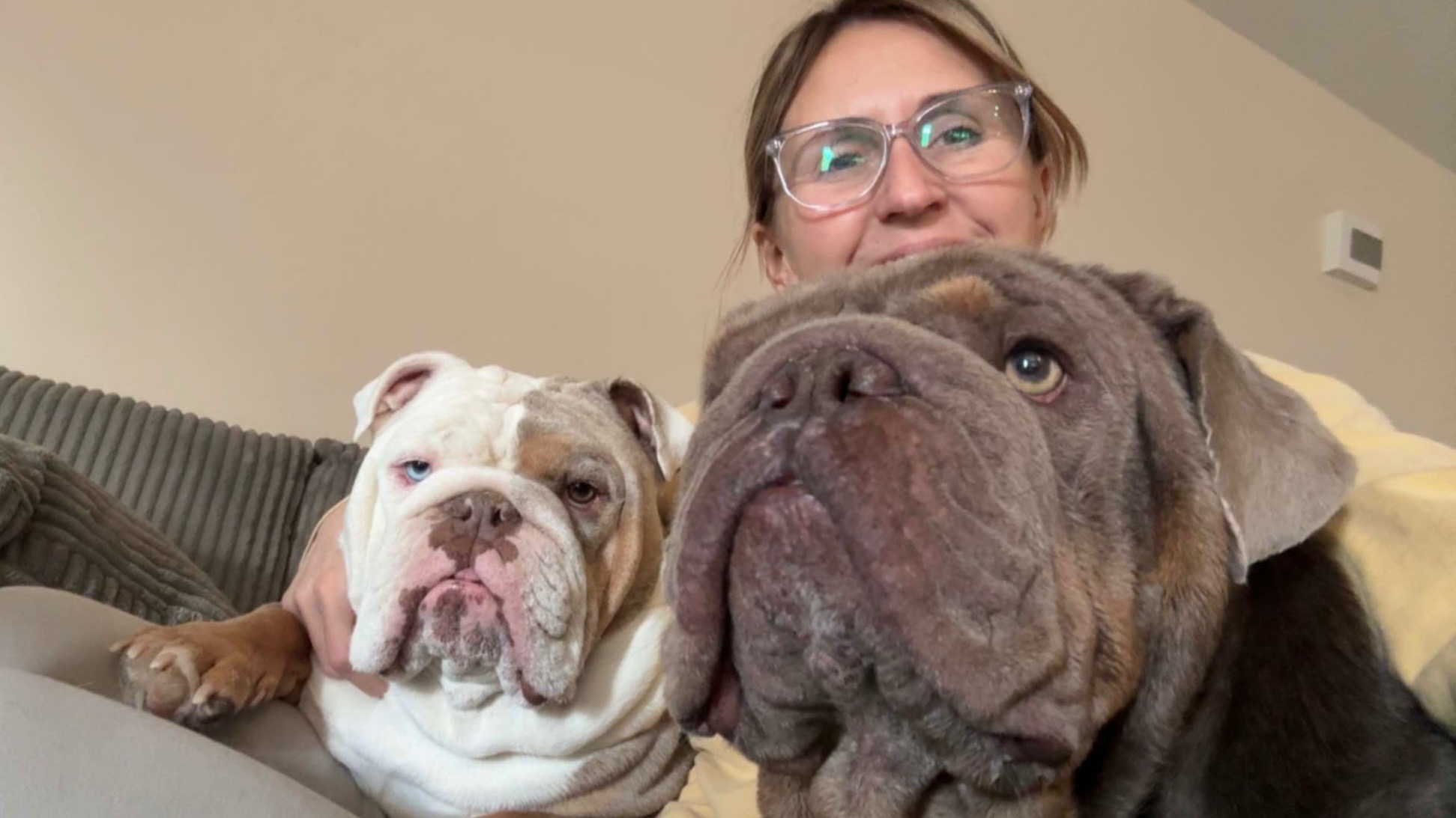 Help Moose Breathe & Heal Before He Goes to His Forever Home campaign photo, 6 of 7