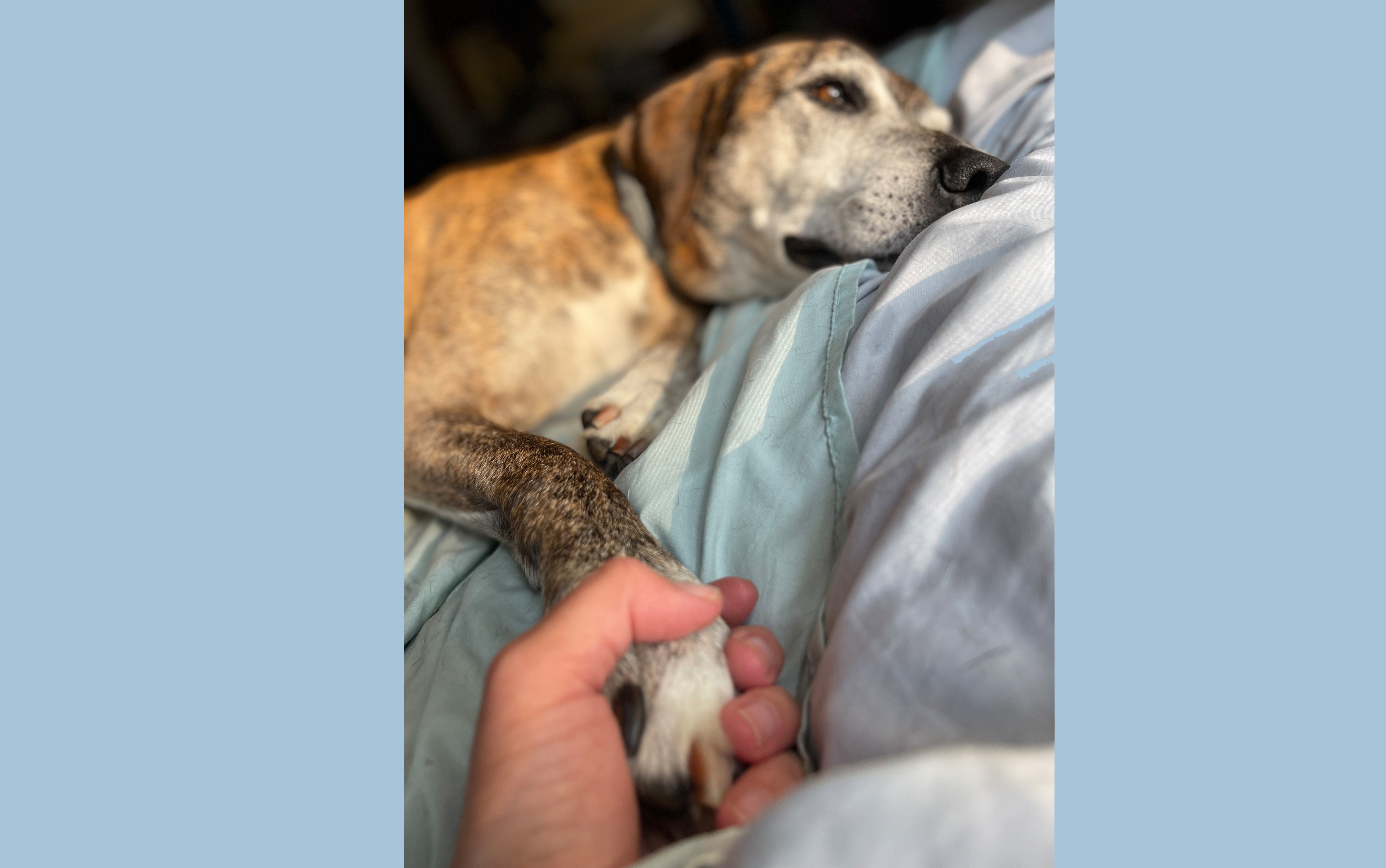Help Hank Williams Fight Cancer with Dignity campaign photo, 5 of 8