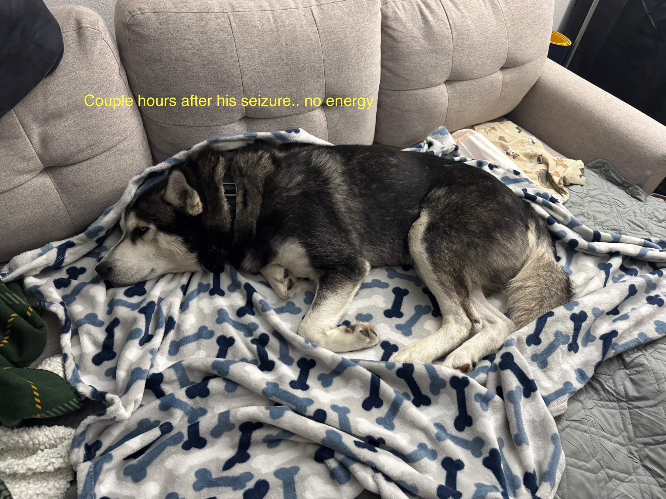 Two Months of Love, A Lifetime to Save campaign photo, 4 of 6