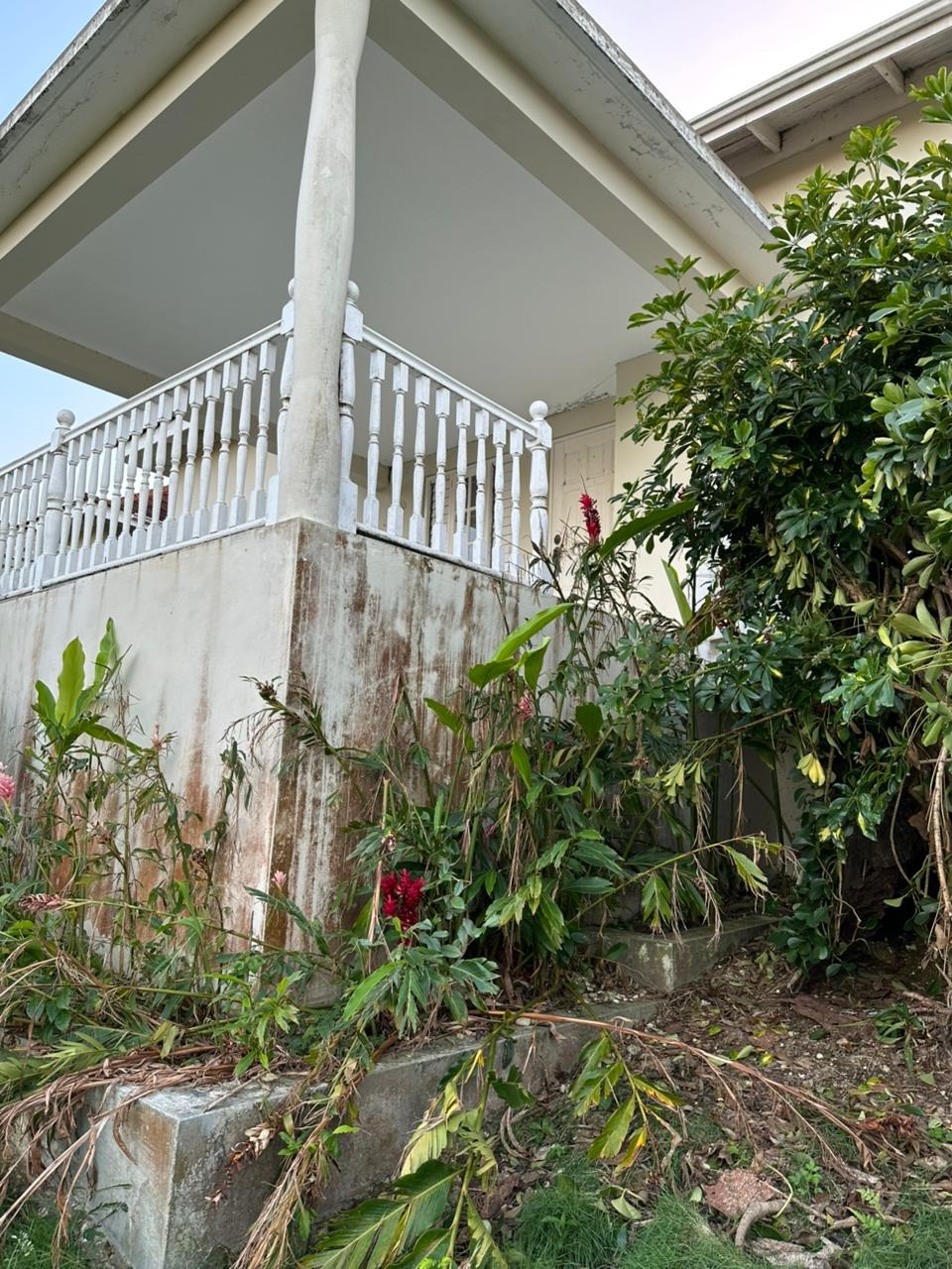 Restore Monique's Home and Farm in Jamaica campaign photo, 6 of 8