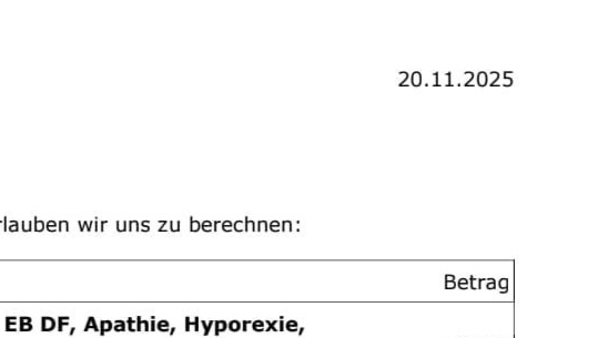 SPENDENAUFRUF FÜR TSUNAMI – NOTFALL-OP UND BEVORSTEHENDE-OP pinned link photo