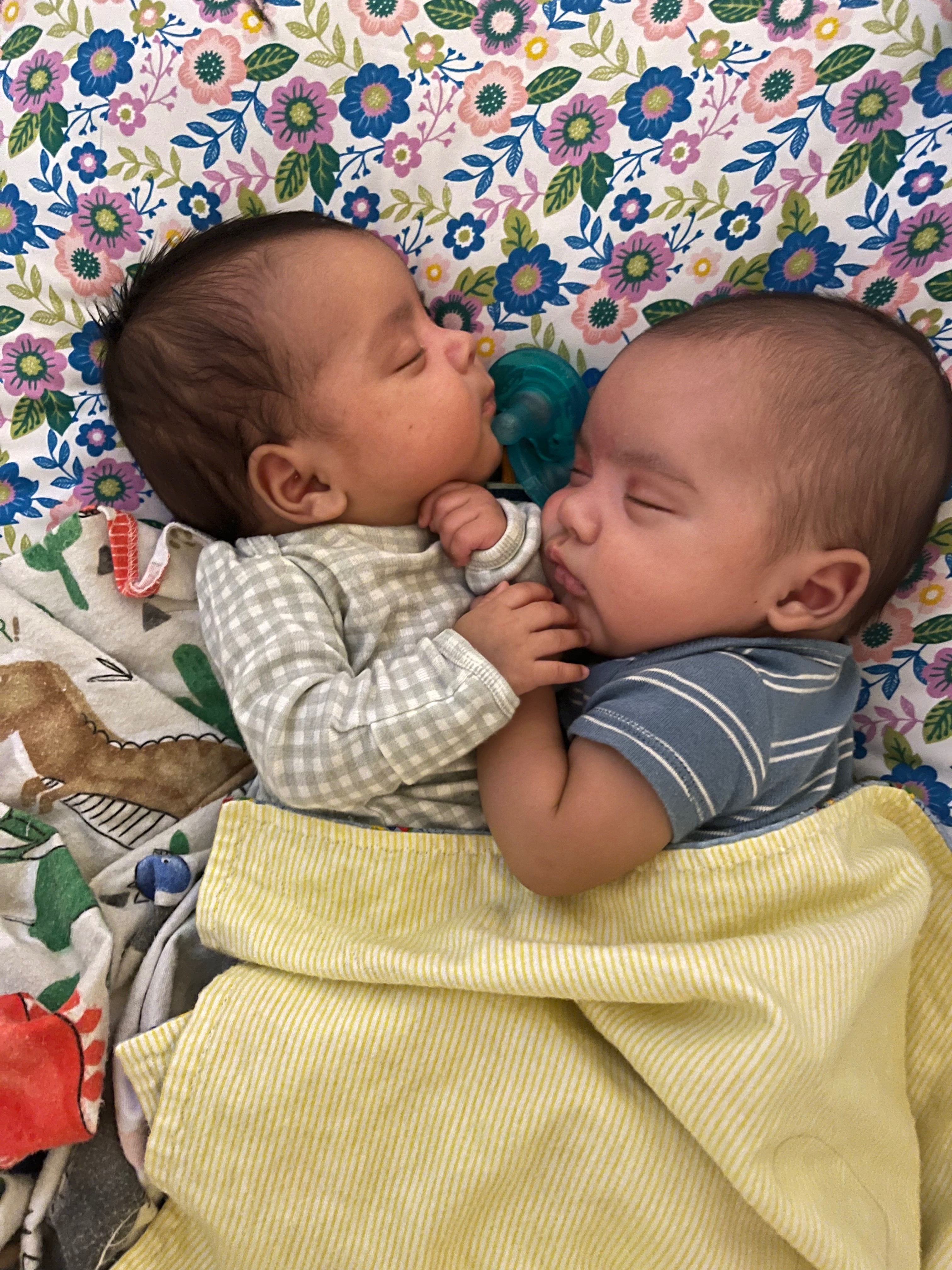 Aid for Our Quadruplets' Future campaign photo, 2 of 5