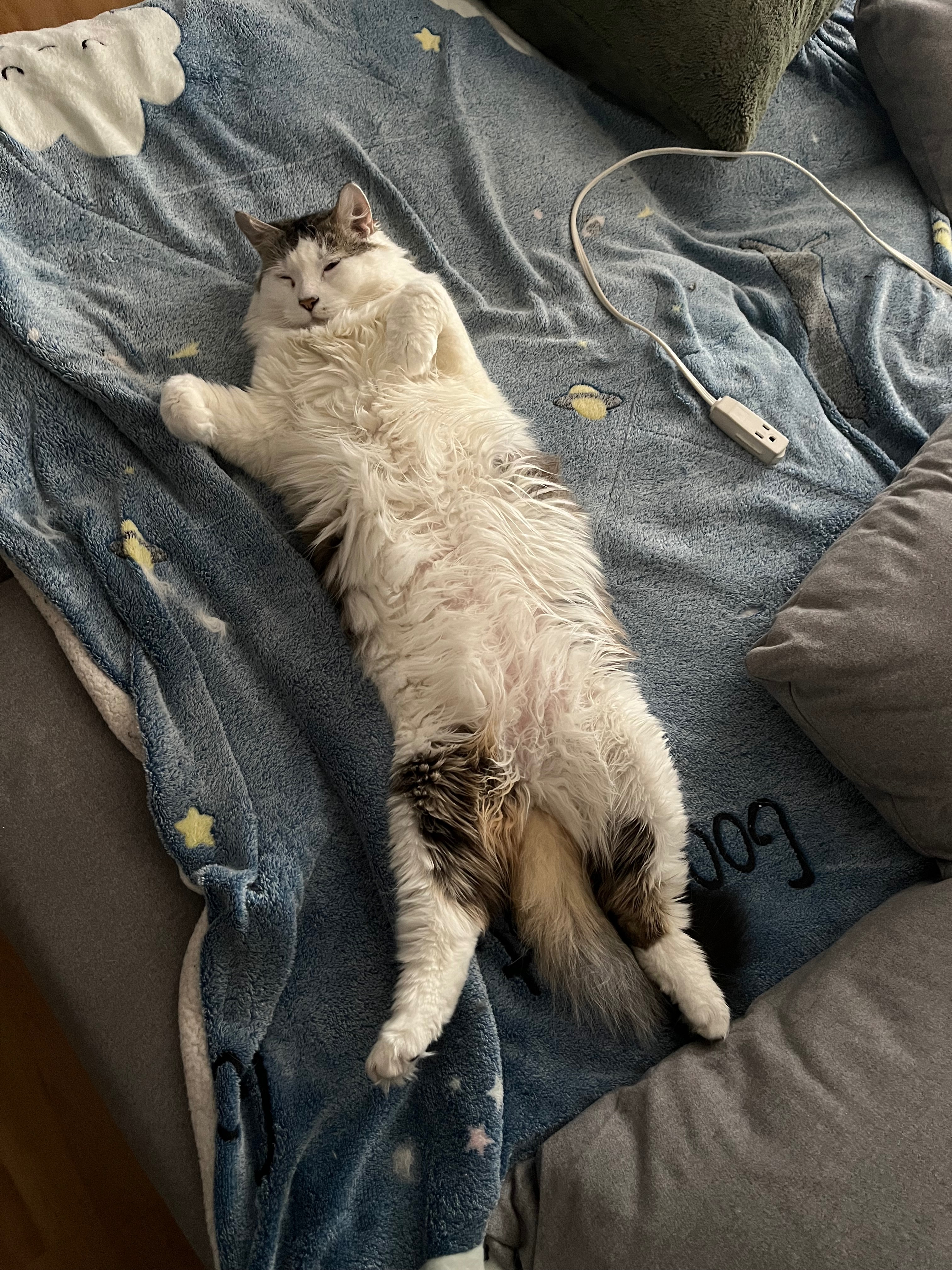 Save Blubby: Urgent Medical Care Needed campaign photo, 4 of 8