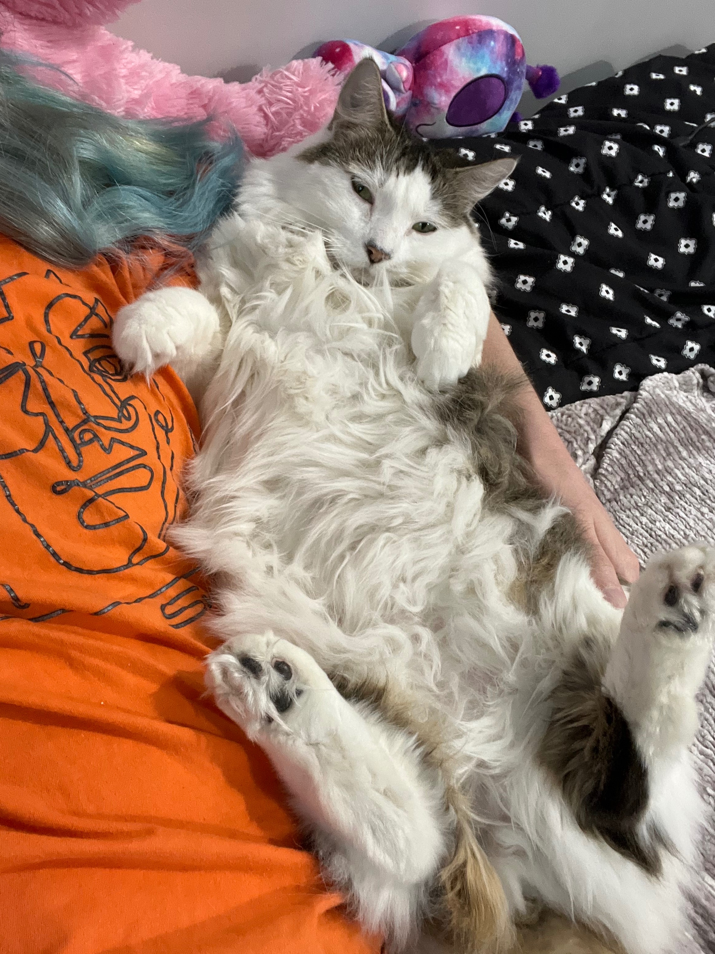 Save Blubby: Urgent Medical Care Needed campaign photo, 6 of 8