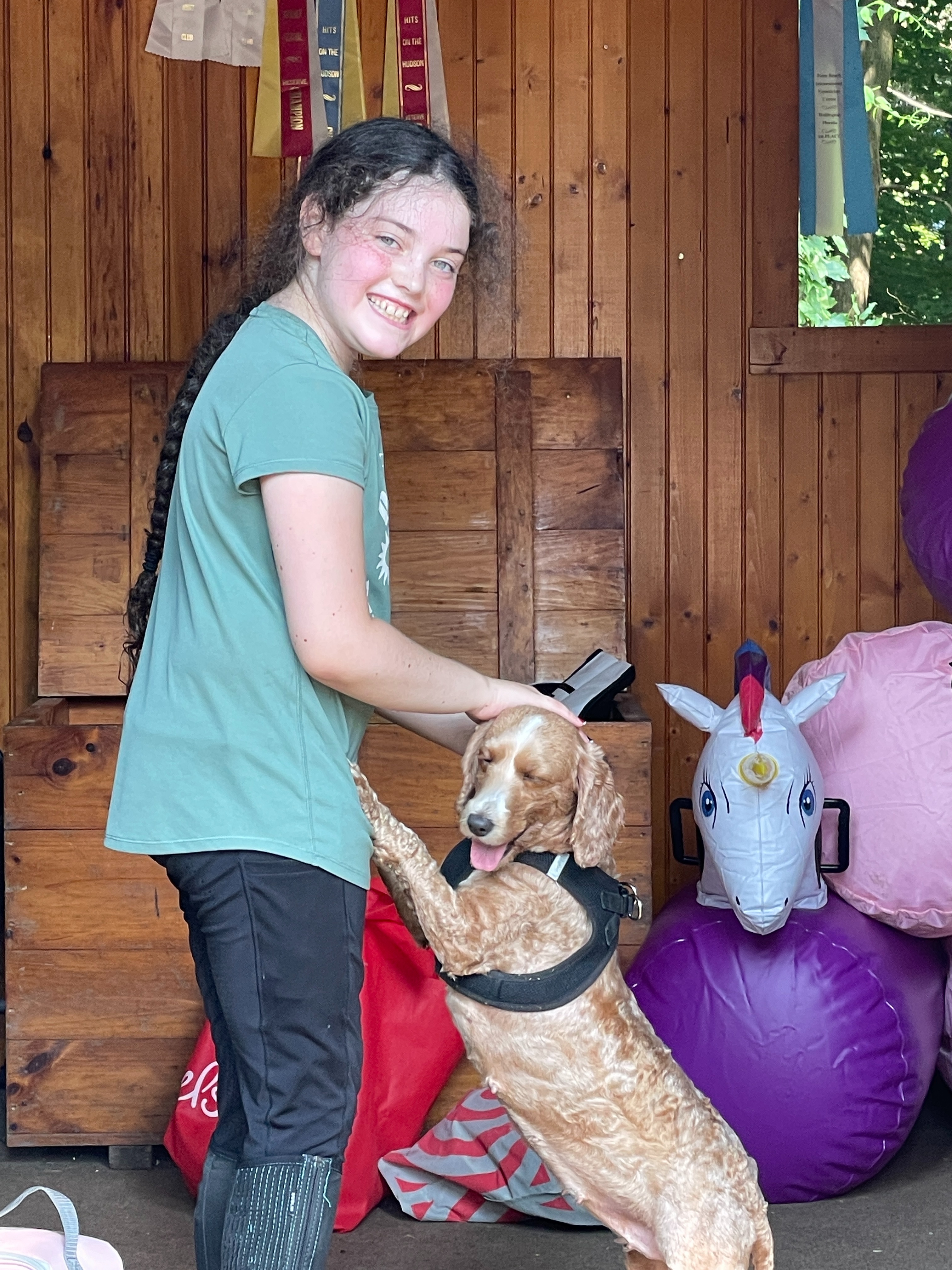 Vivian's Mitzvah Project: Rescue and Re-Home Animals campaign photo, 4 of 5