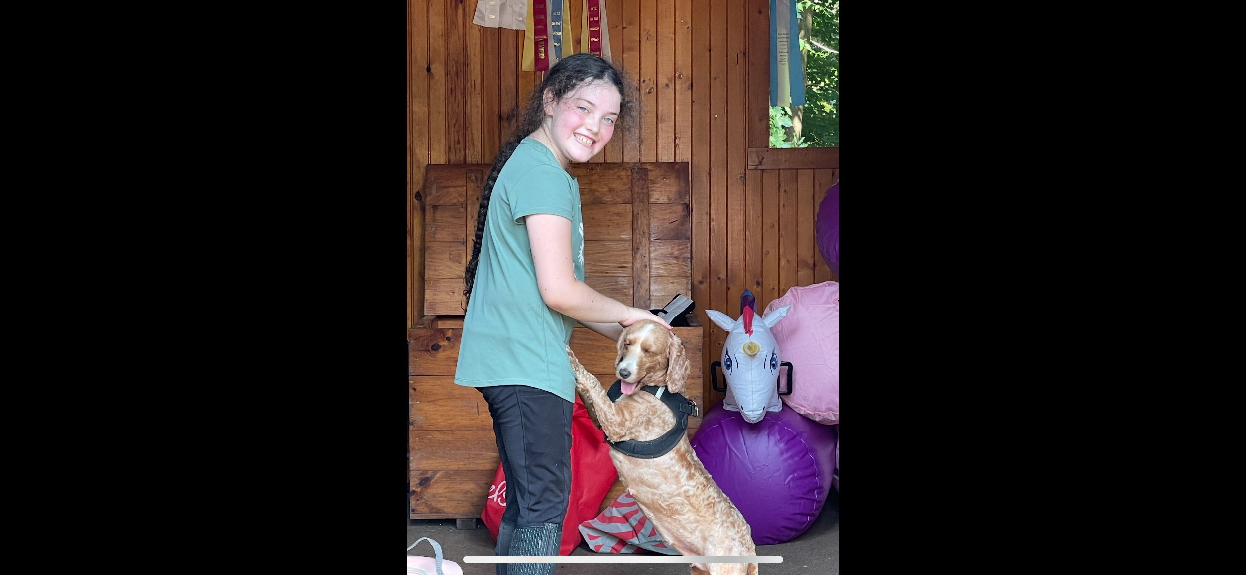 Vivian's Mitzvah Project: Rescue and Re-Home Animals campaign photo, 2 of 5