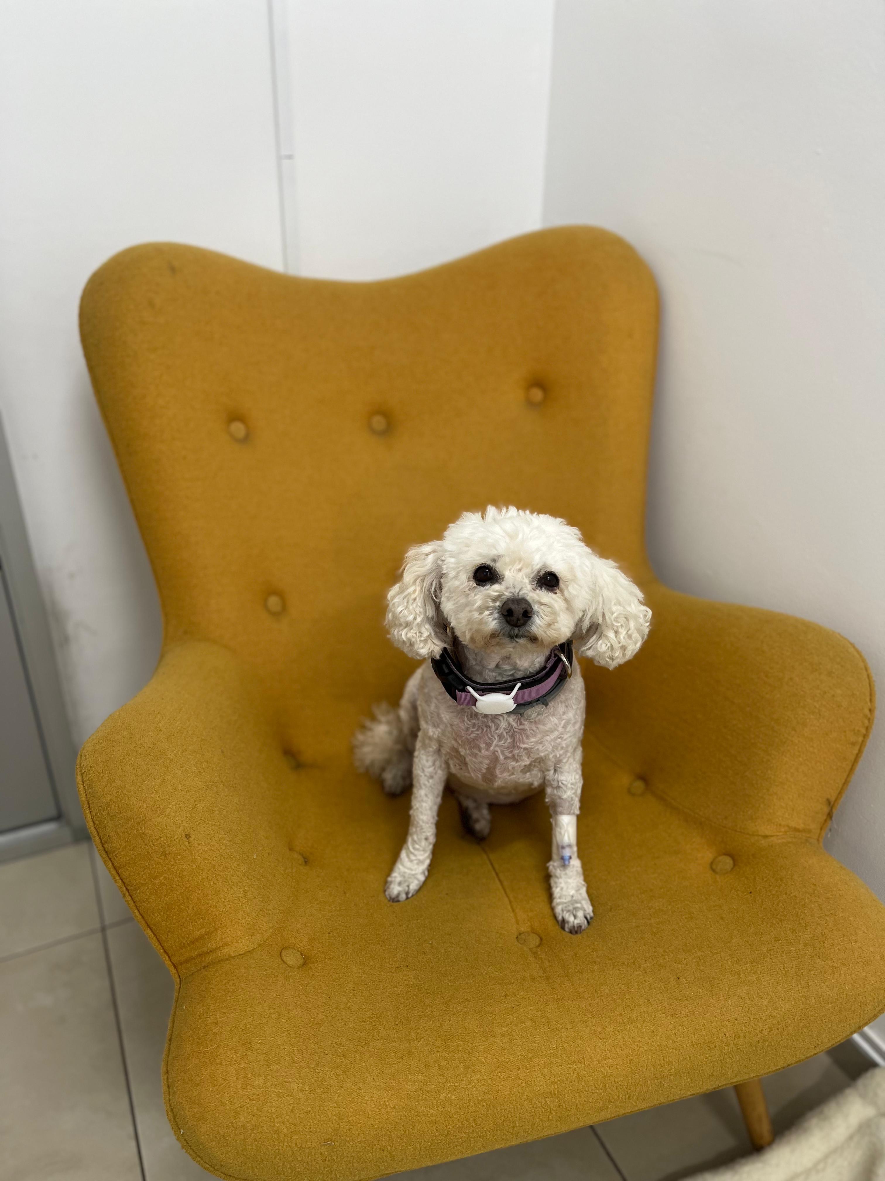 Help Dorita Get Lifesaving Surgery campaign photo, 2 of 8