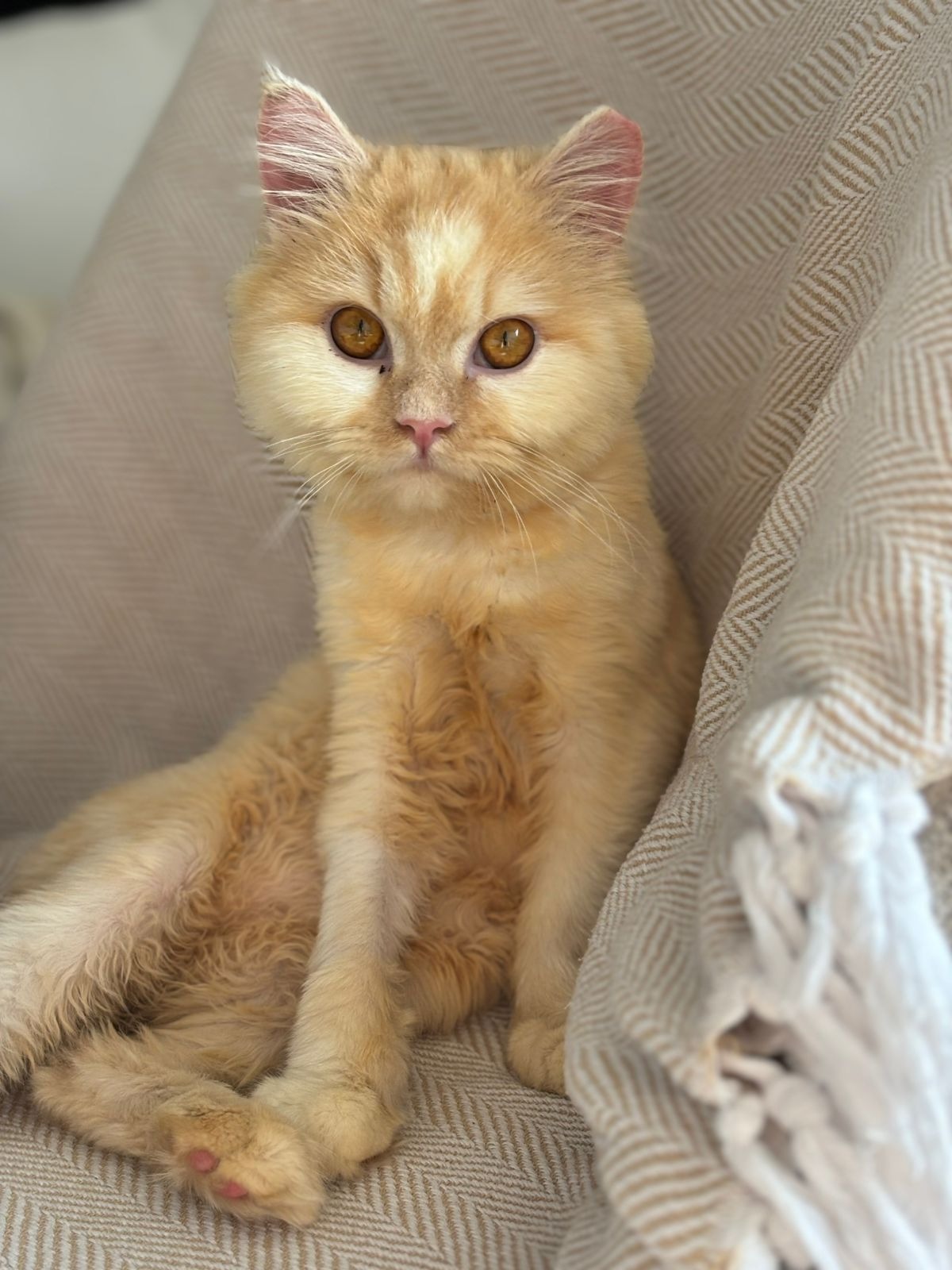They Survived the Streets. Now They Need Us. campaign photo, 5 of 6