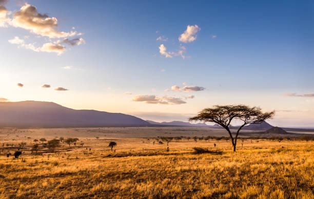 Support Tom's Mission Trip to Kenya 2026 campaign photo, 4 of 5