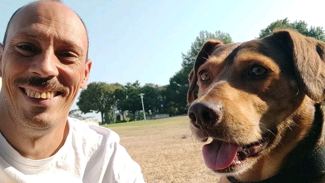 Apoio aos animais abandonados e maltratados. photo
