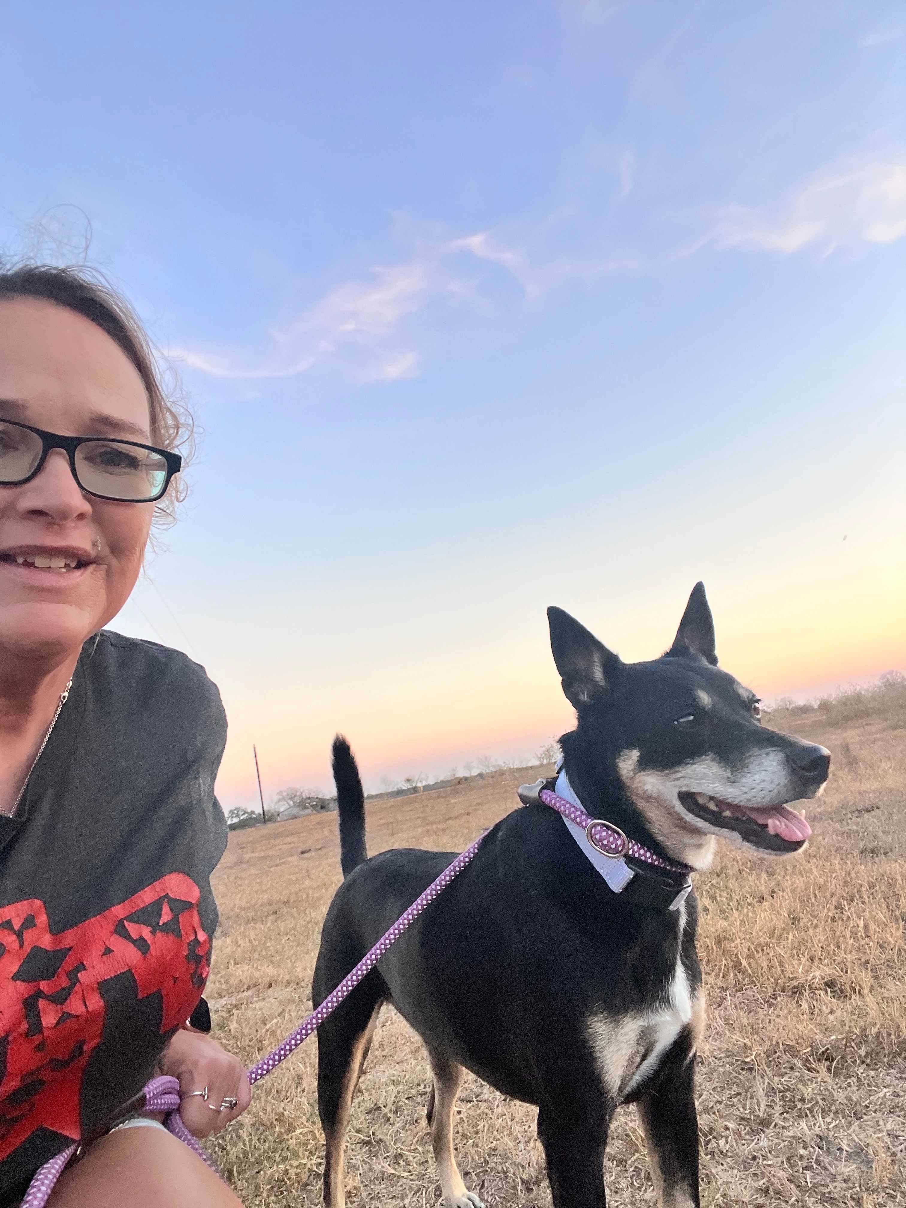 Help Columbus Rescue Dogs Save Lives campaign photo, 4 of 7