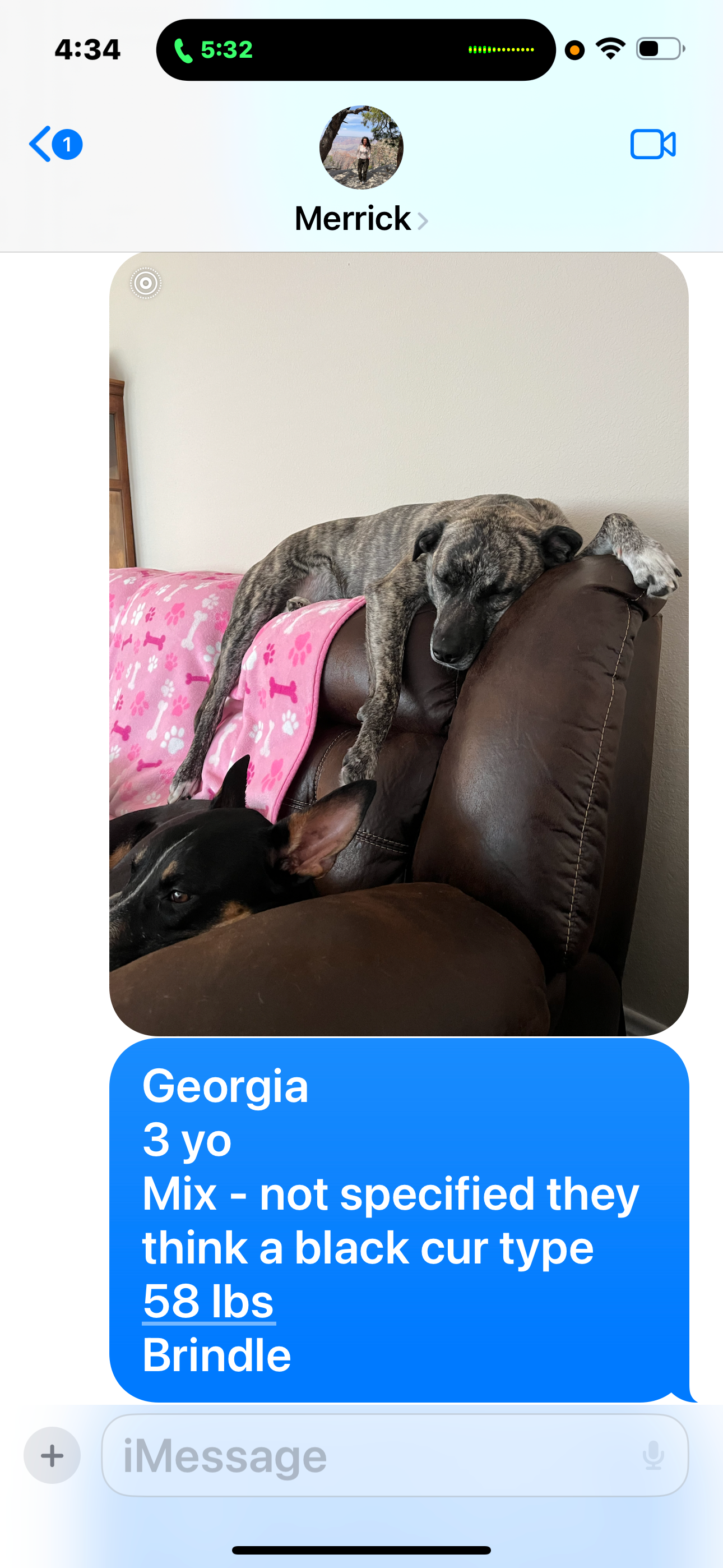 Help Columbus Rescue Dogs Save Lives campaign photo, 5 of 7