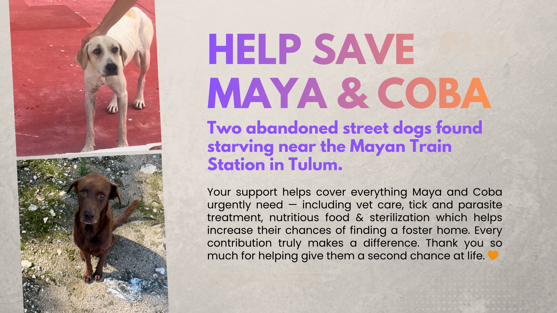 Help Save Maya & Coba campaign photo, 4 of 6