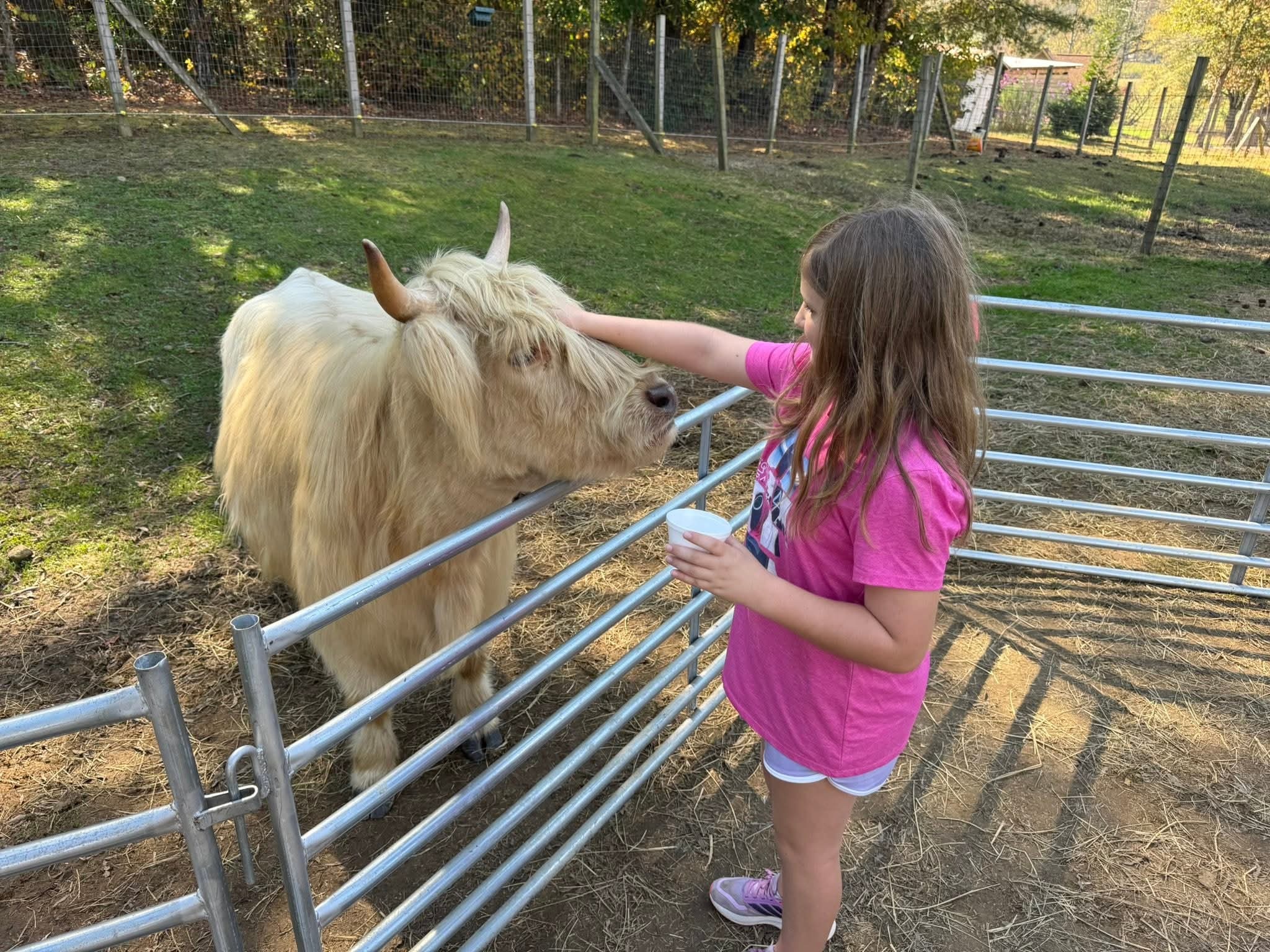 Help Abby Attend National STEM Leadership Forum campaign photo, 5 of 8