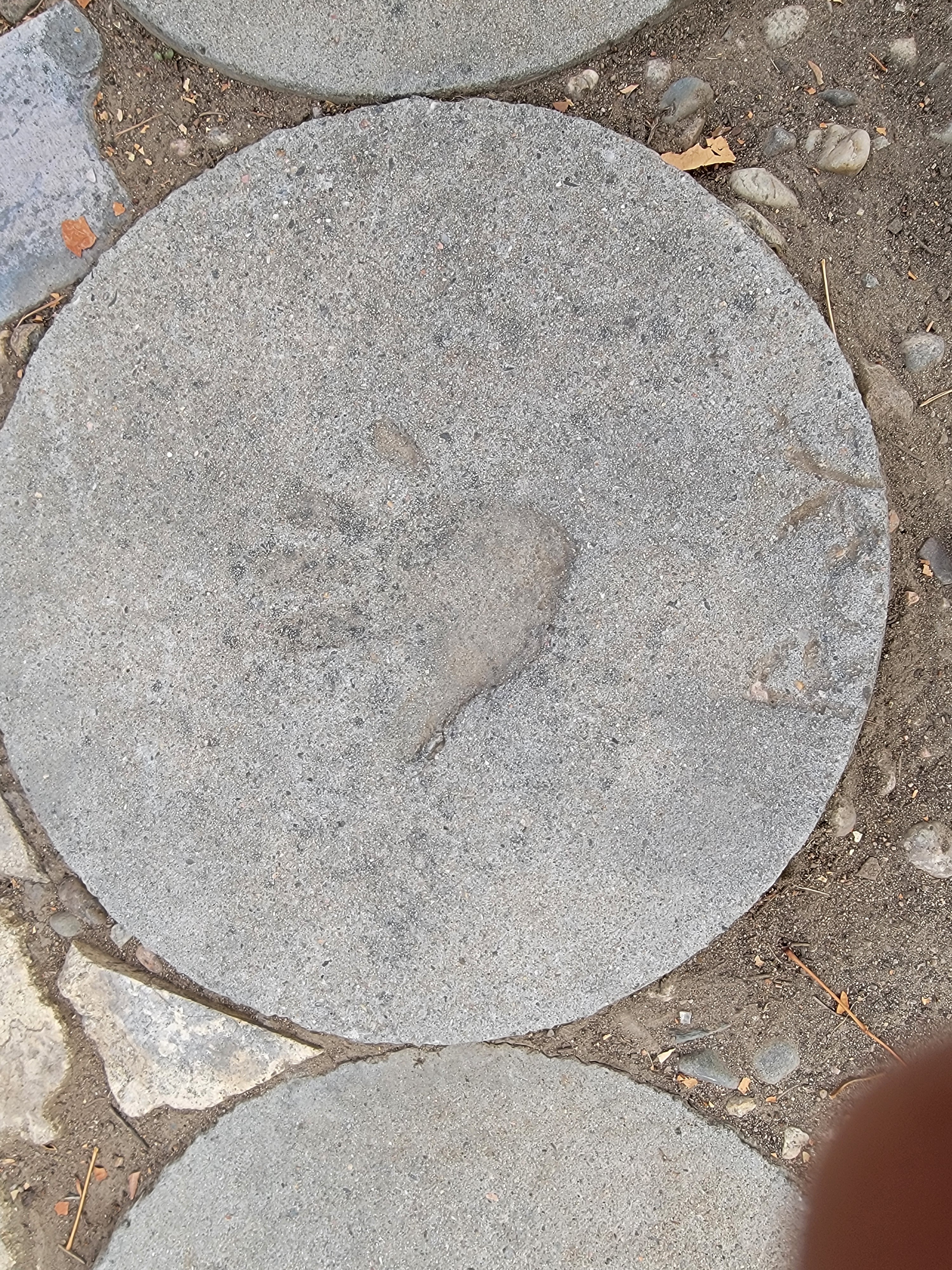 Assist Raymond Gonzales' Family in Their Time of Need campaign photo, 4 of 7