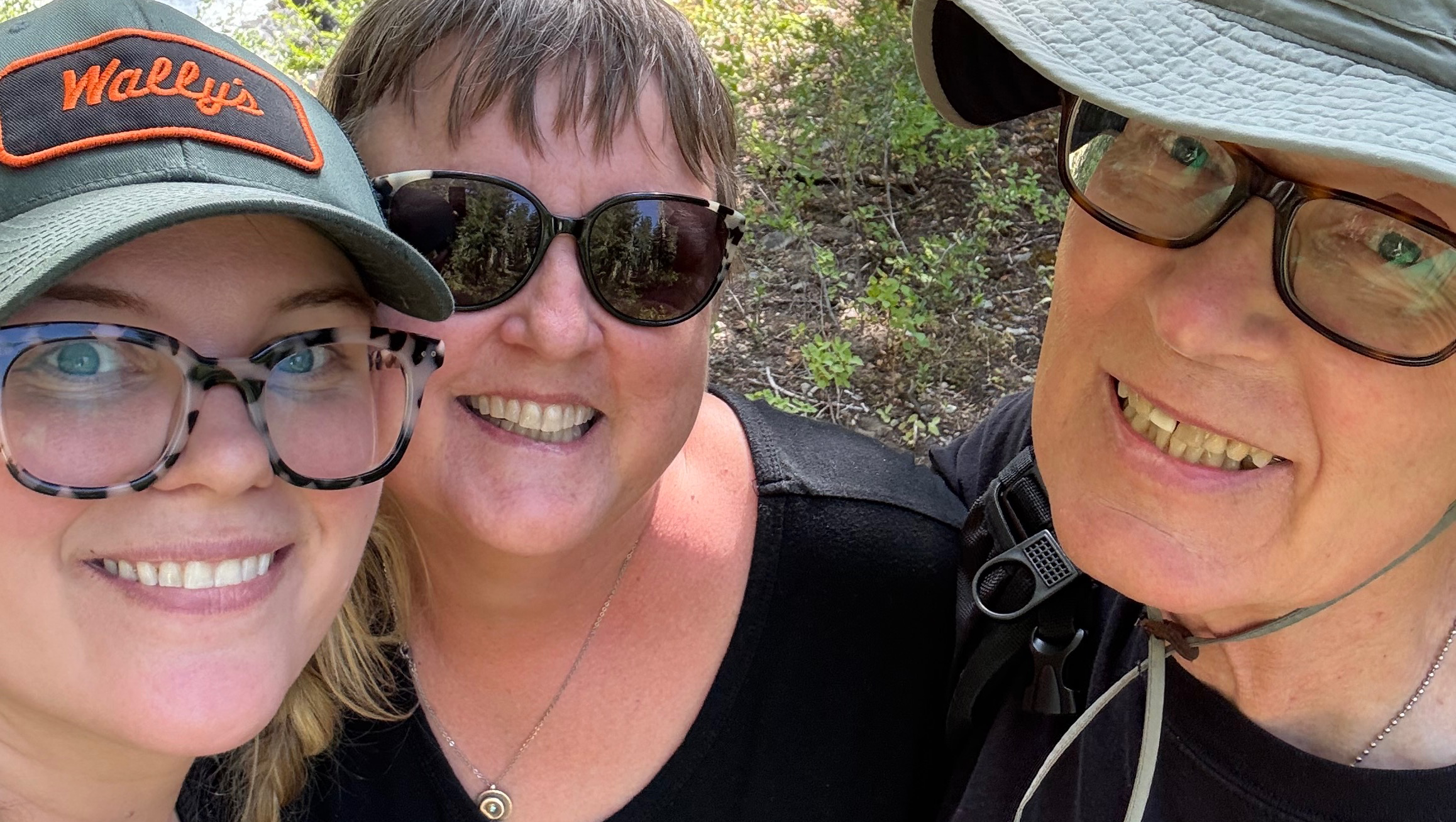 Miles that Matter - Emily’s walk for Alzheimer’s photo
