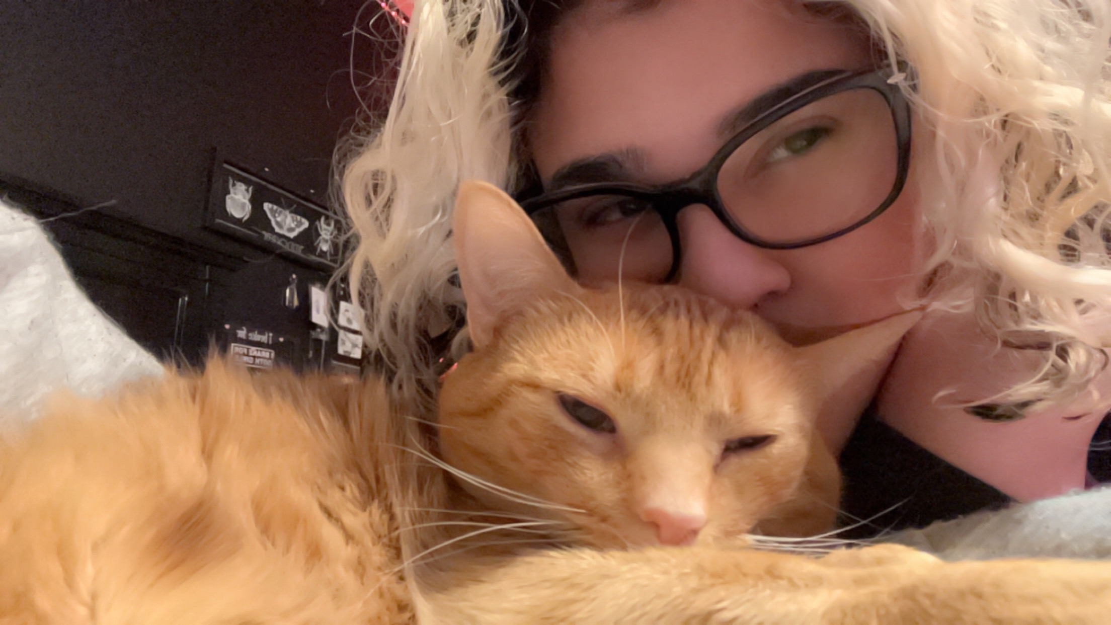 Donate to Save Pumpkin's Life campaign photo, 4 of 7