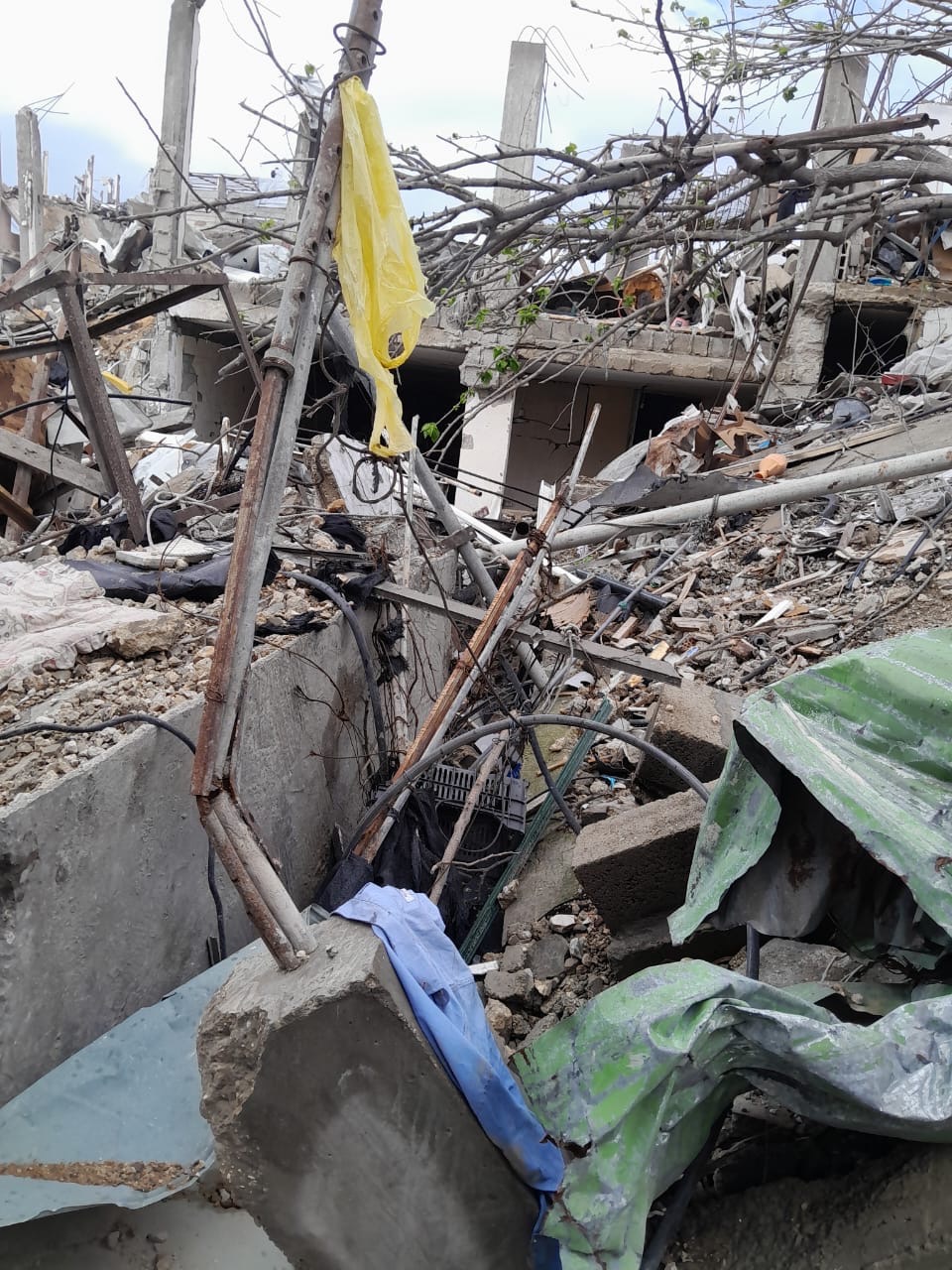 Help Fareed Rebuild His Home in Gaza and hunger campaign photo, 2 of 8