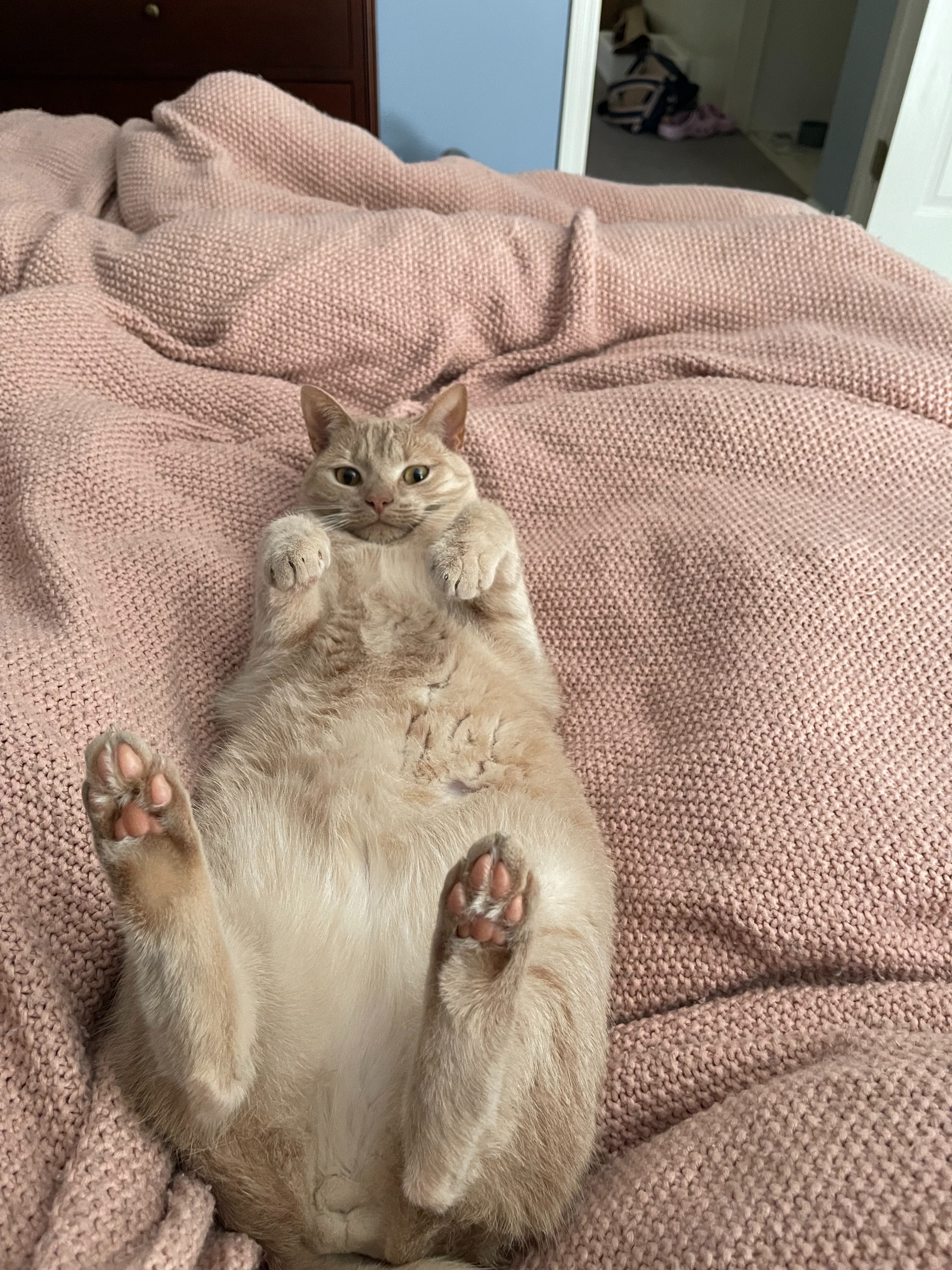 Support Fishy's Kidney Recovery campaign photo, 2 of 8