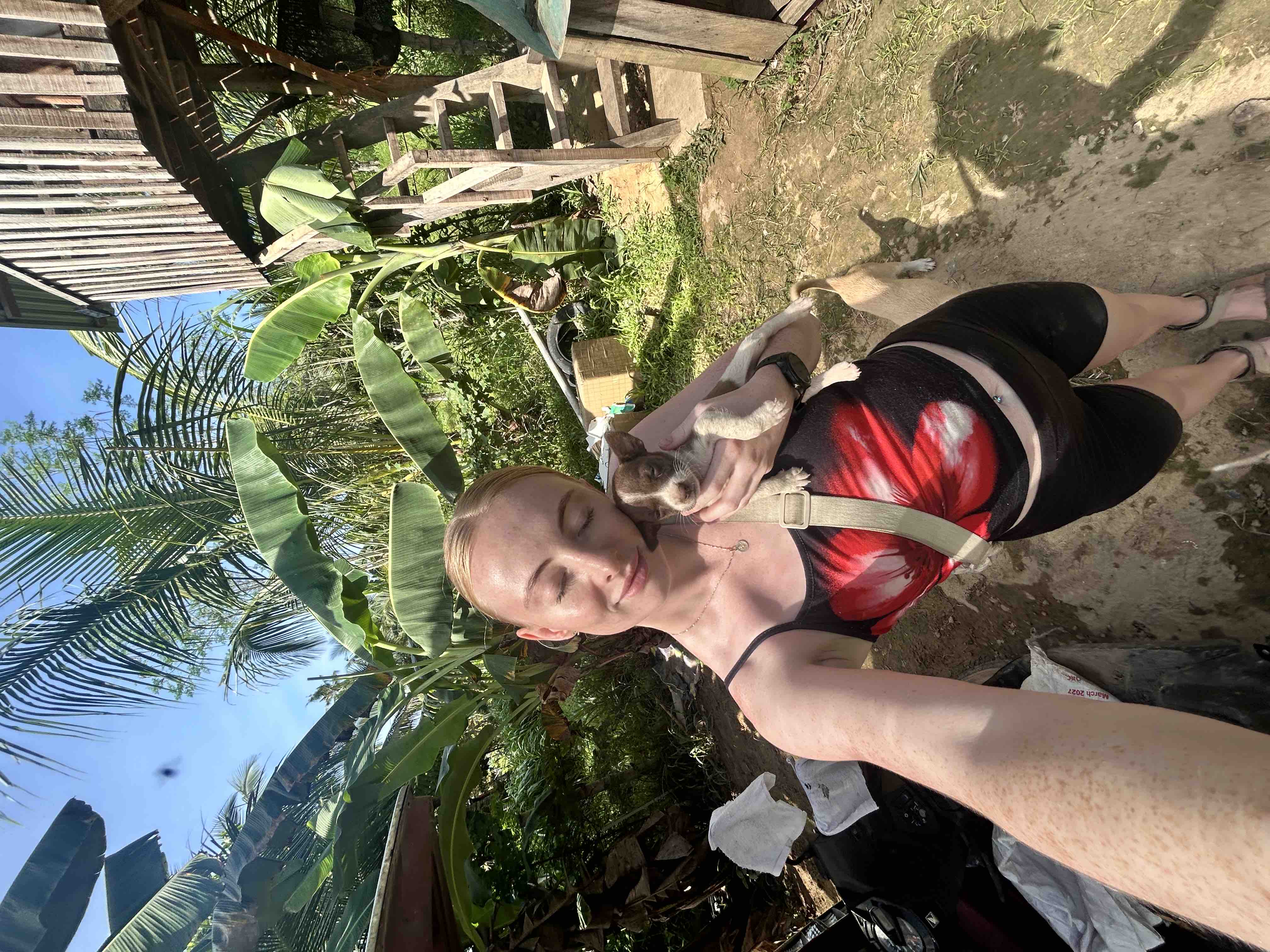 help feed shelter dogs in The Philippines campaign photo, 2 of 7
