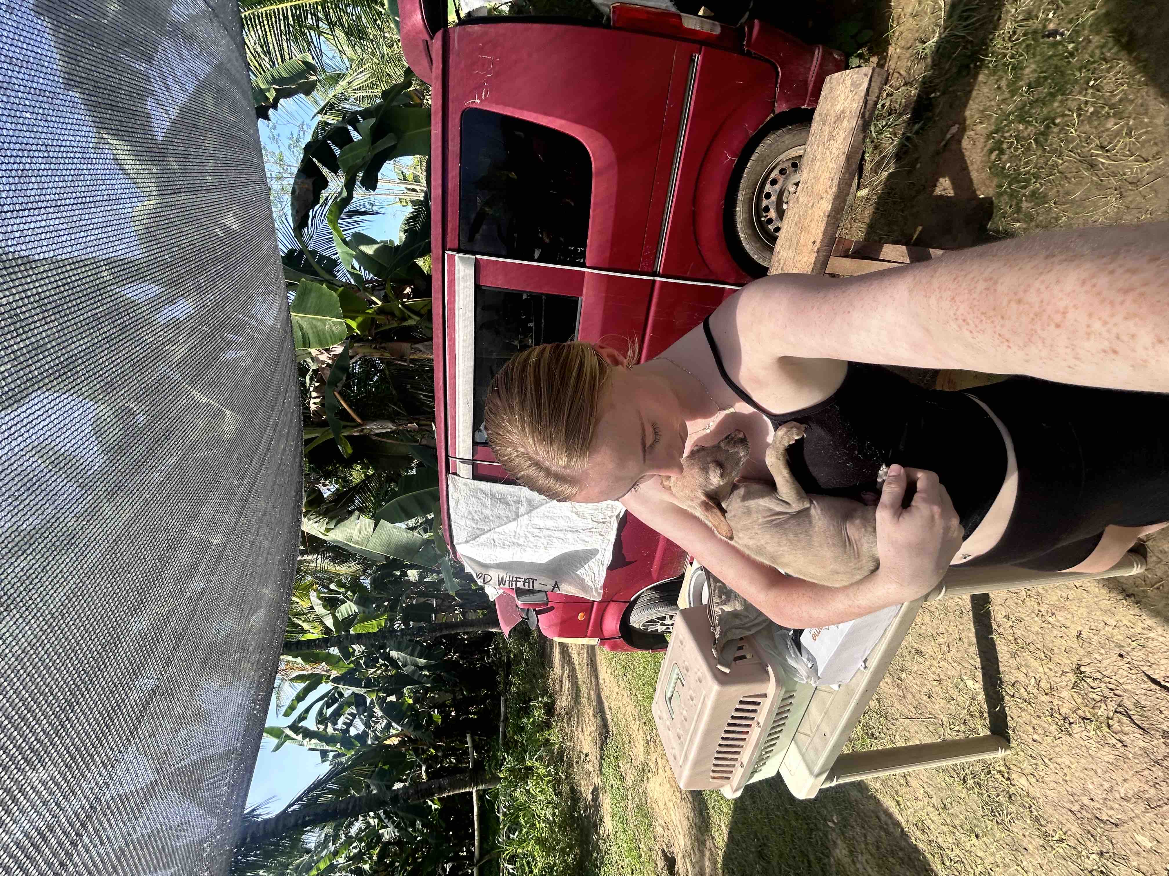 help feed shelter dogs in The Philippines campaign photo, 4 of 7