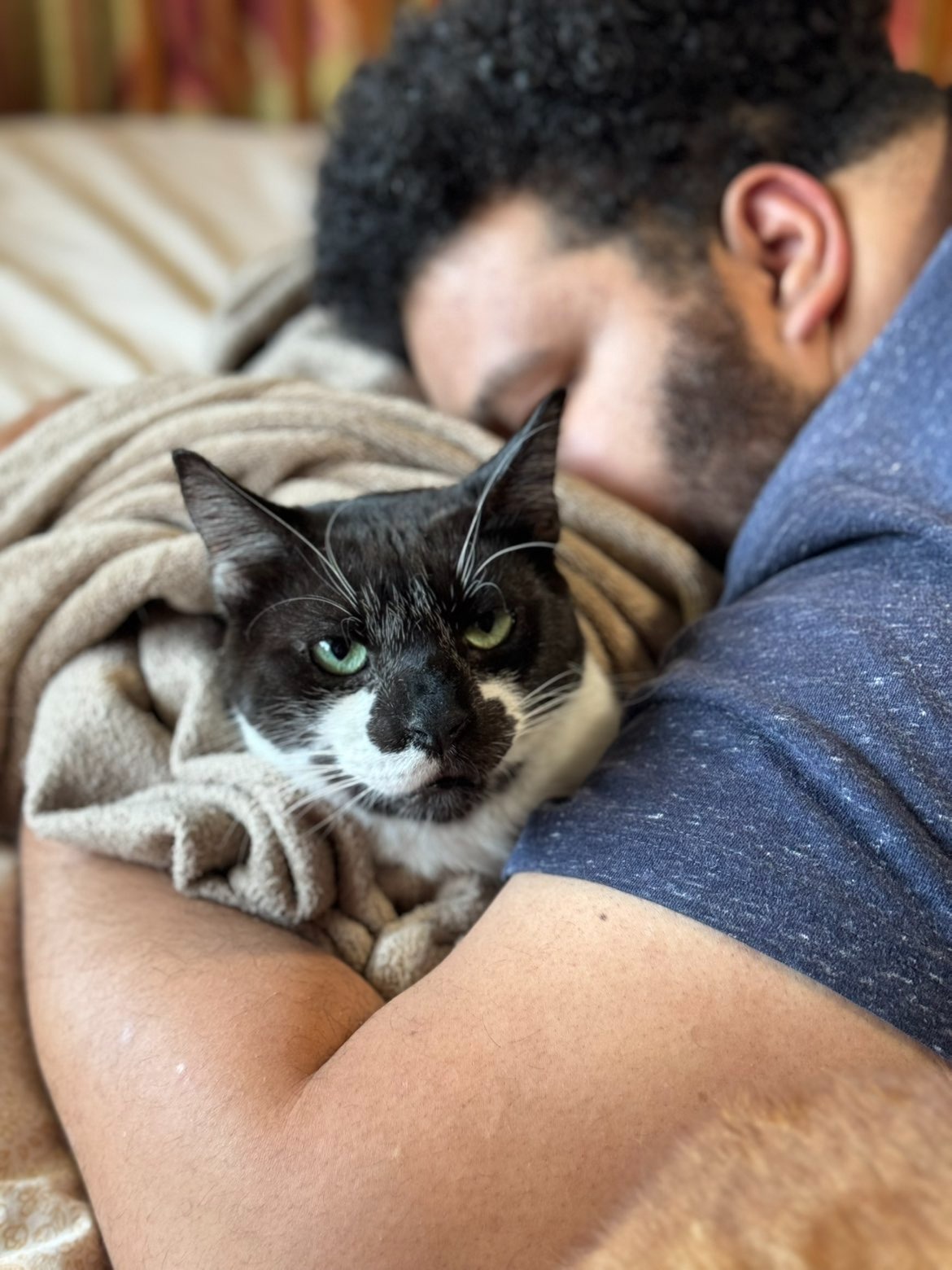 Help Save Papaya from Aggressive Lymphoma campaign photo, 2 of 7