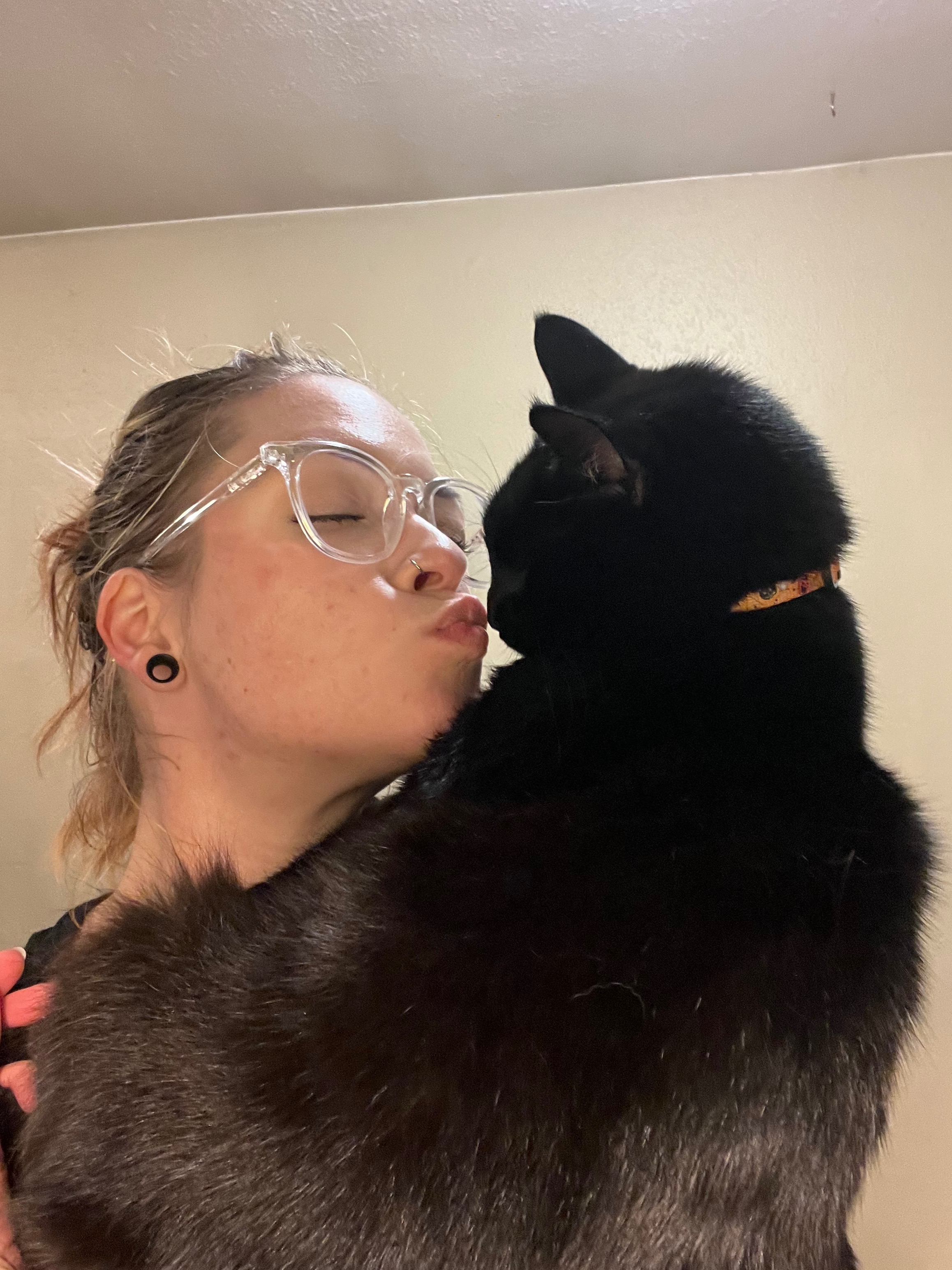 Help Barney with urgent vet care for unknown illness campaign photo, 2 of 7
