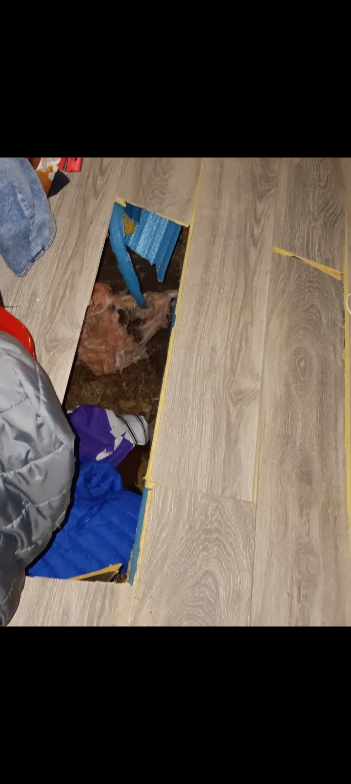 Urgent Help for Briana's Home Repairs campaign photo, 2 of 8